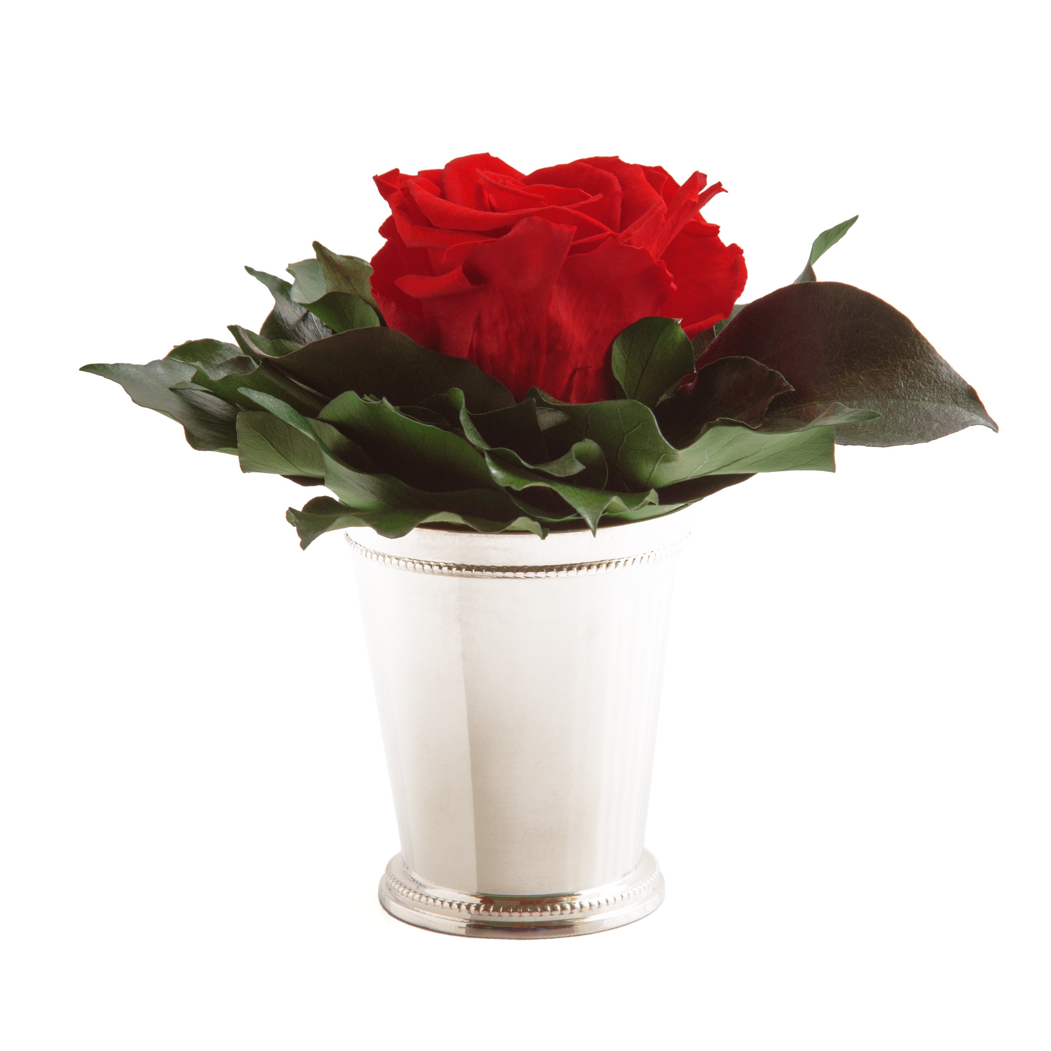 Künstliche Zimmerpflanze 1 Infinity Blume Becher silberfarben Geschenkidee für Frauen Rose, ROSEMARIE SCHULZ Heidelberg, Höhe 12 cm, Echte Rose lange haltbar Rot