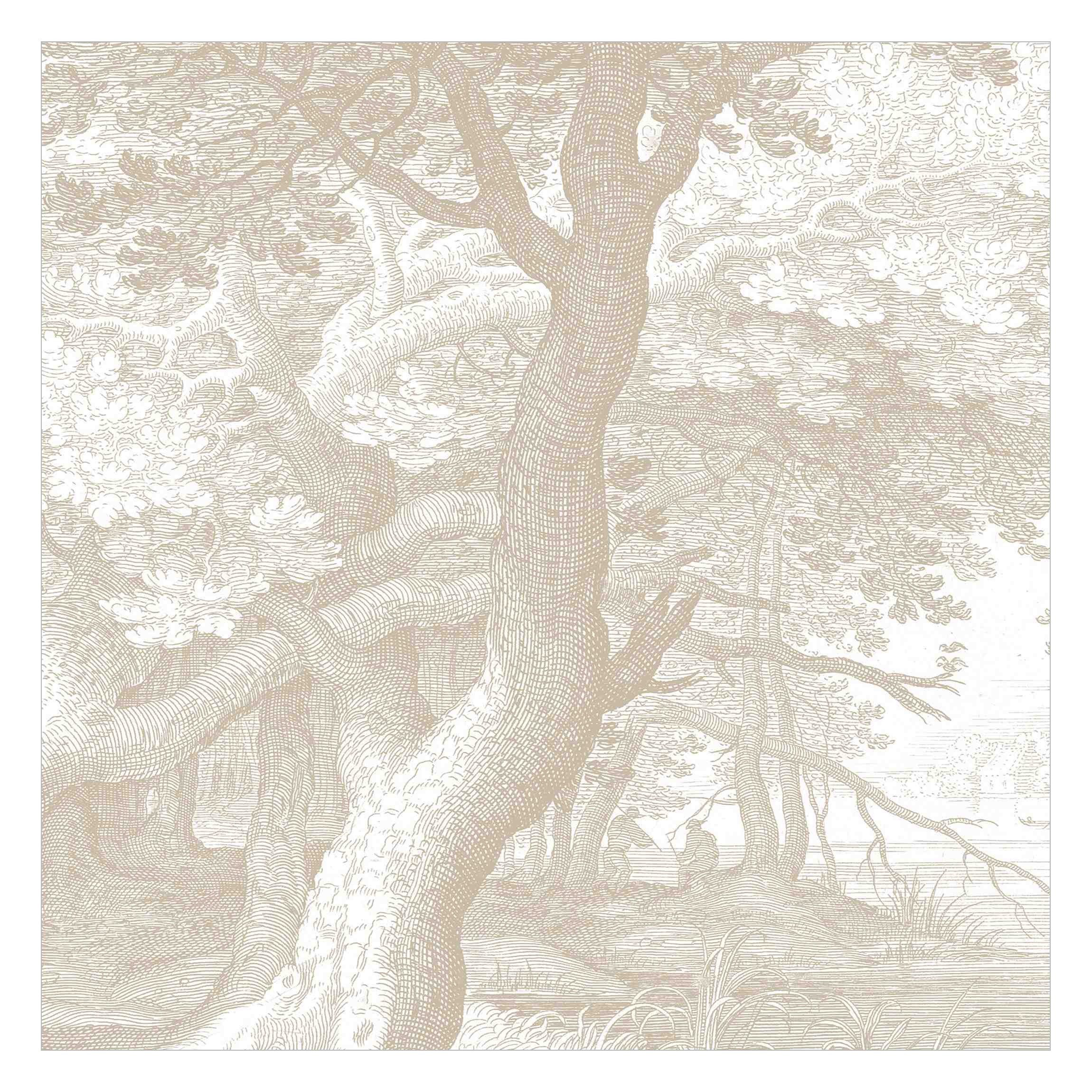 Bilderdepot24 Vliestapete Vintage Wald Kupferstich Beige günstig online kaufen