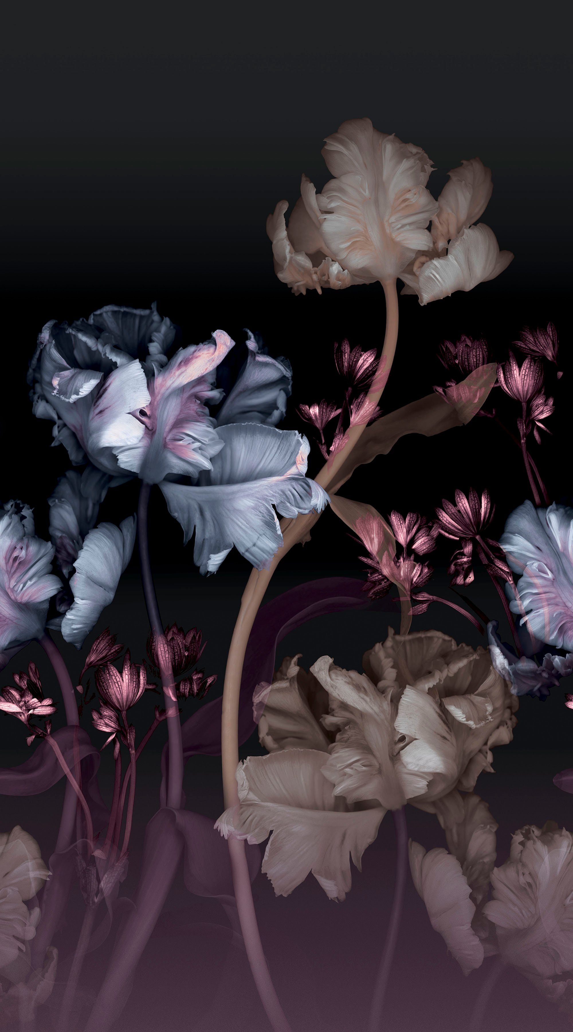 Fashion for walls Fototapete Vanda, glatt, floral, Phthalate frei