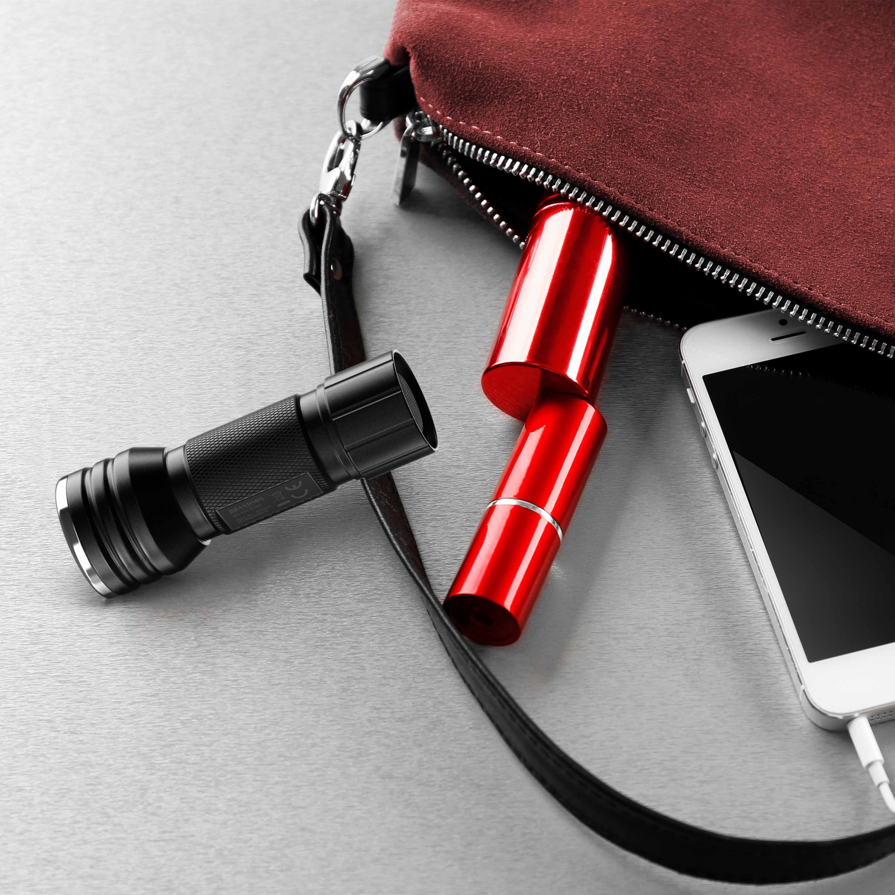 Brandson LED Taschenlampe UV Schwarzlicht Hand Lampe, Bernsteindetektor, He günstig online kaufen