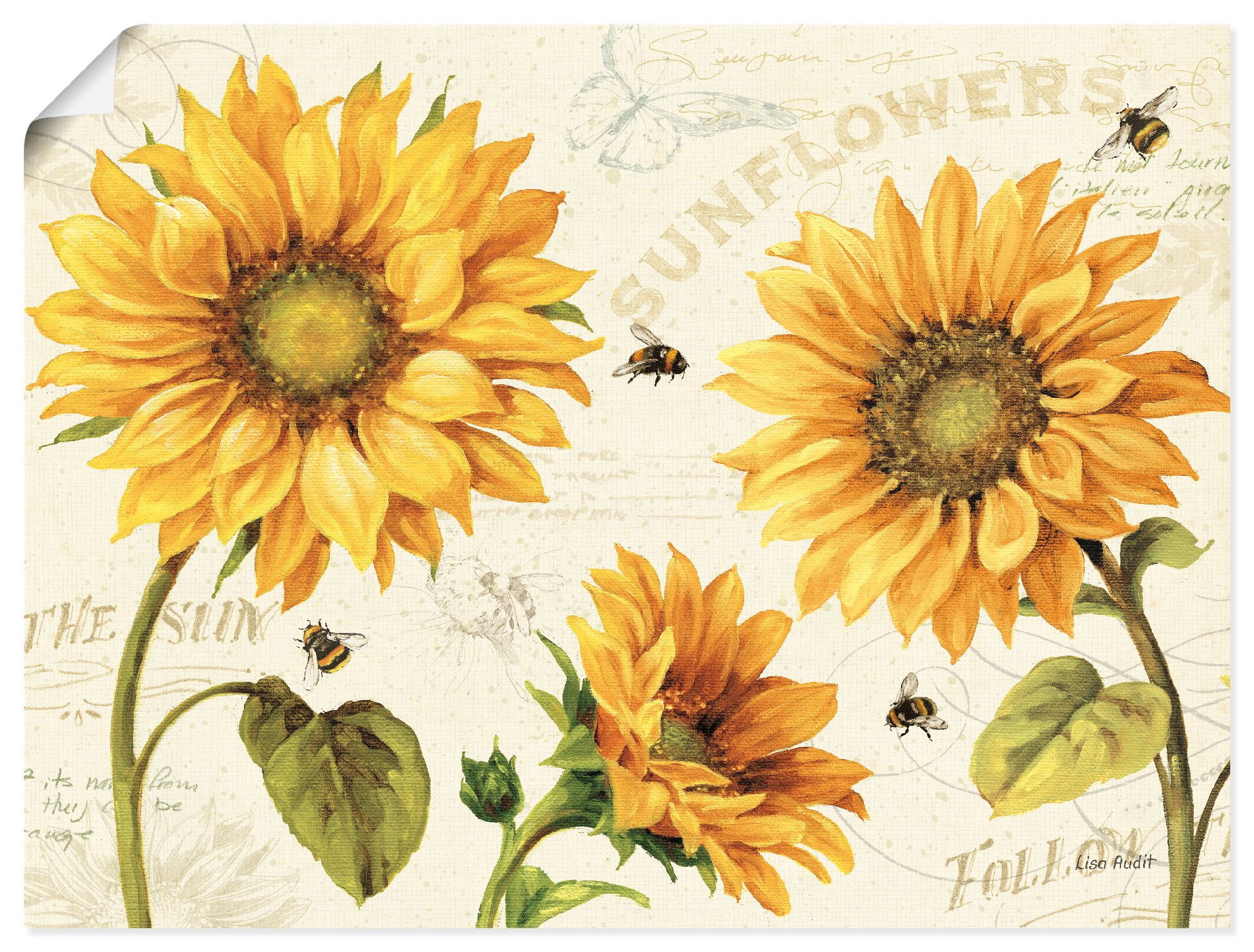 Artland Wandbild Under the Sun III, (1 St), als Alubild, Leinwandbild, Poster, Wandaufkleber in verschied. Größen