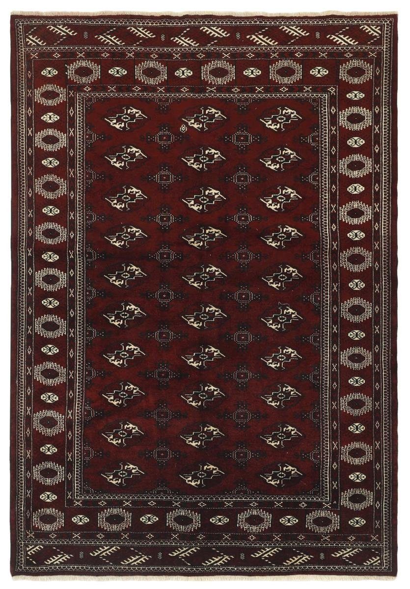 Orientteppich Turkaman 181x257 Handgeknüpfter Orientteppich / Perserteppich, Nain Trading, rechteckig, Höhe: 6 mm