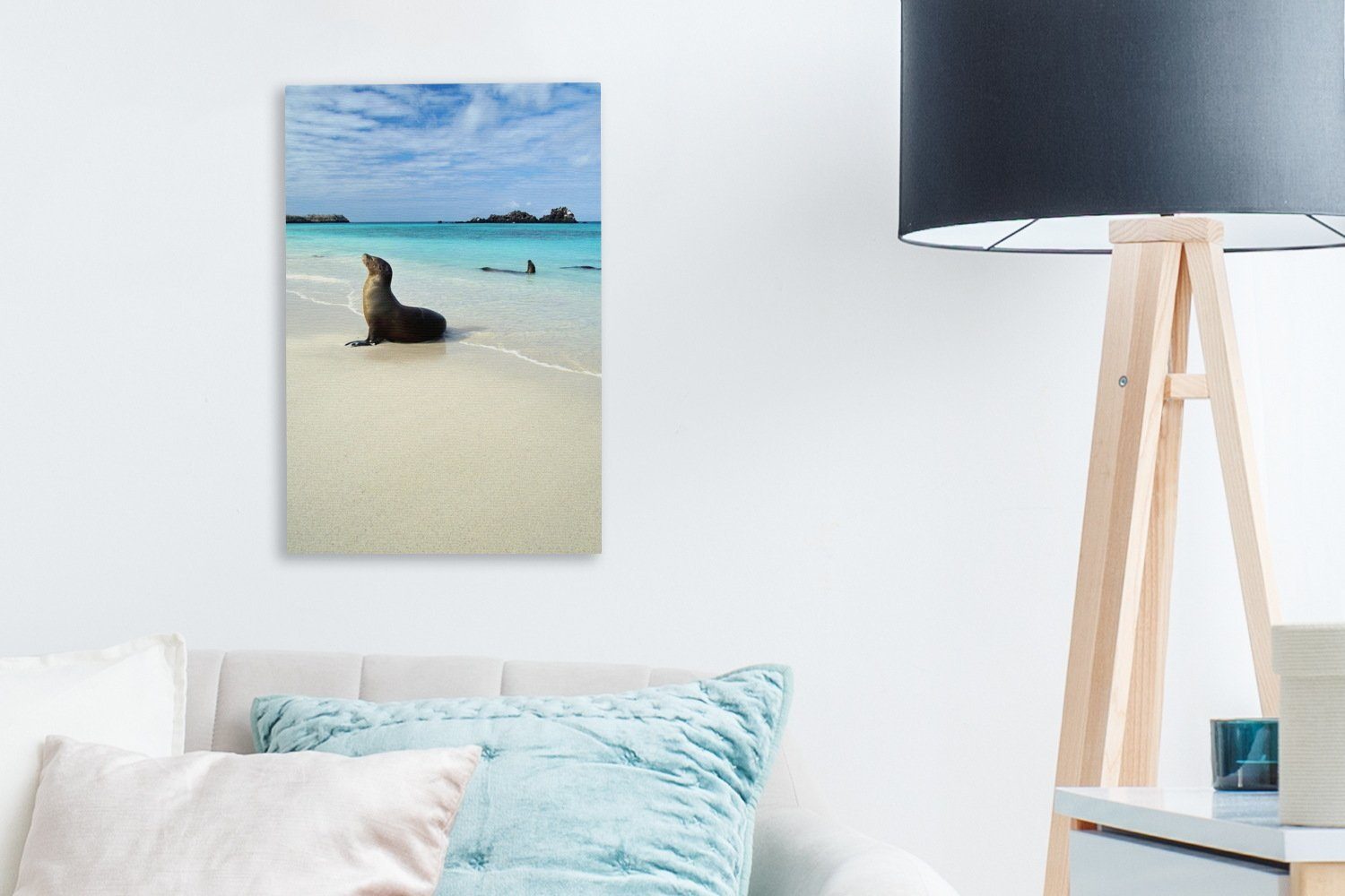 bespannt Meerwasser Galapagos-Inseln, der cm Robbe liegt 20x30 Gemälde, (1 Leinwandbild Leinwandbild OneMillionCanvasses® Eine inkl. St), Zackenaufhänger, fertig im klaren