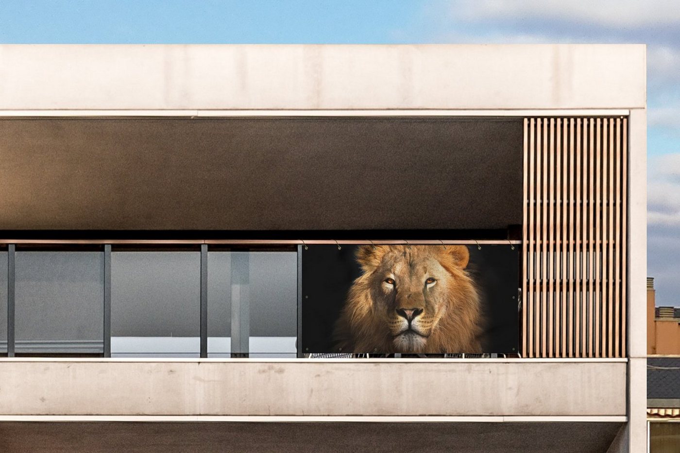 Thumbnail - MuchoWow Balkonsichtschutz Löwe - Tiere - Schwarz - Hell - Braun - Porträt (1-St) Balkon Sichtschutz 90x200, Windschutz ...