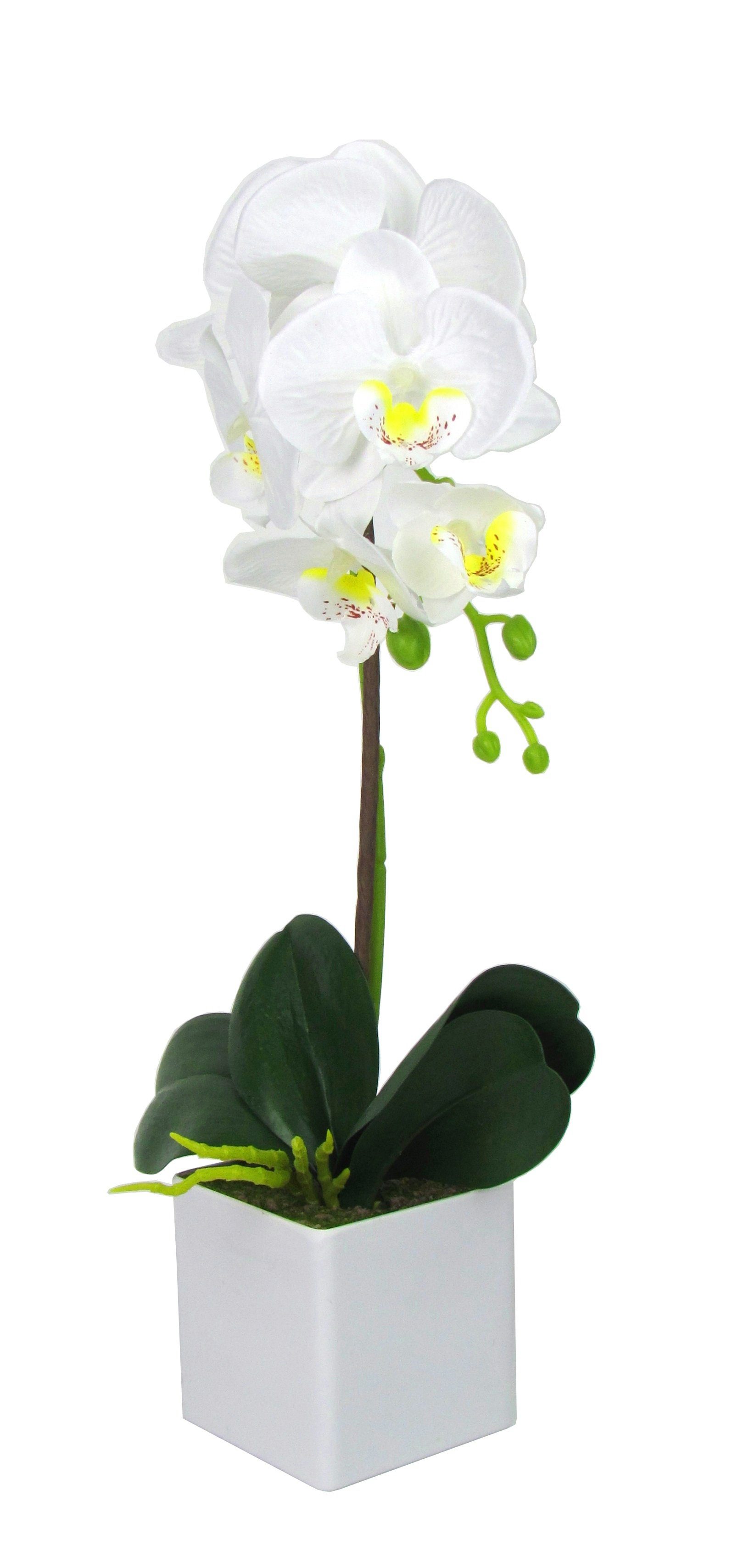 Kunstblume Kunst Orchidee im rechteckigen Topf – Farbecht - Pflegeleicht Orchidee, Ibergarden, Höhe 40 cm, Verschiedene Farben und Größen