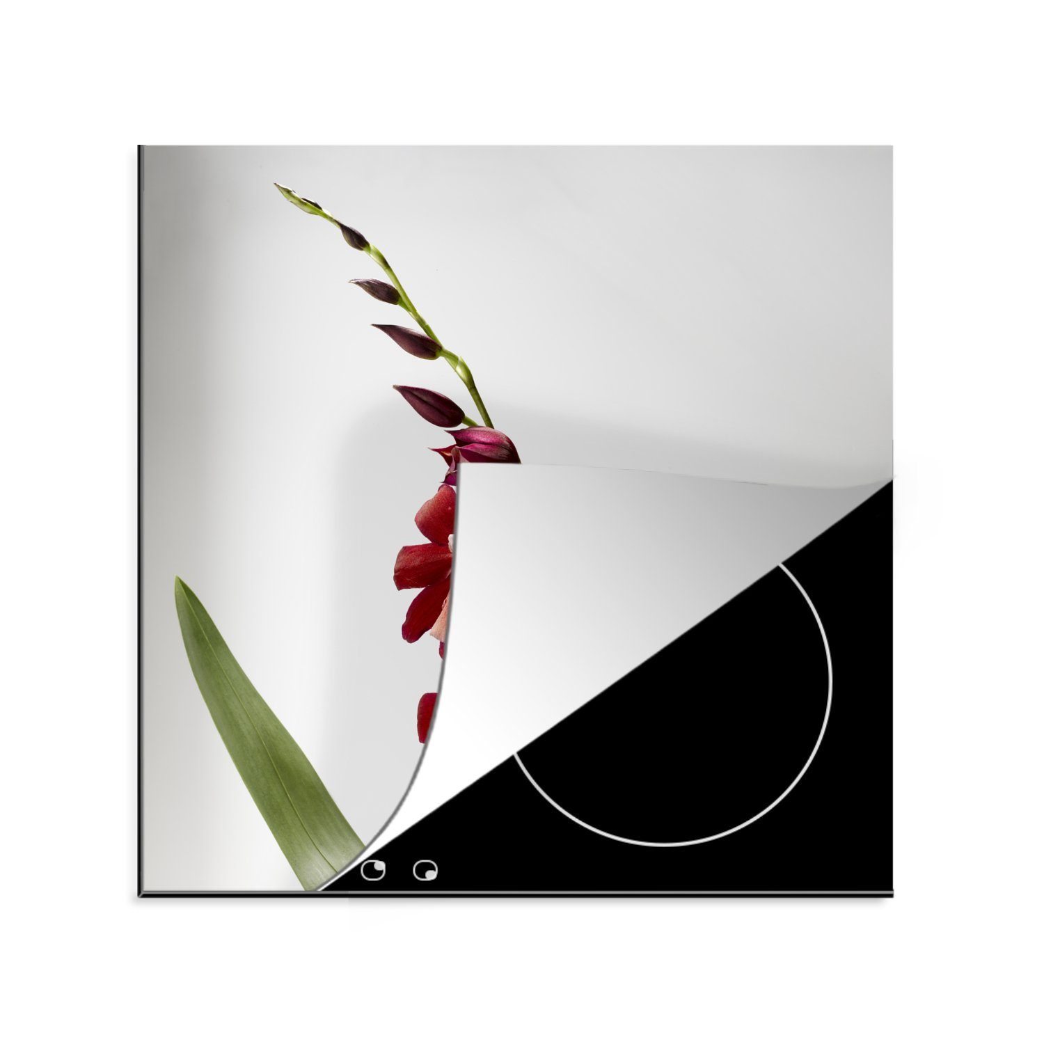 MuchoWow Herdblende-/Abdeckplatte Rote Orchidee mit Blättern auf weißem Hintergrund, Vinyl, (1 tlg), 78x78 cm, Ceranfeldabdeckung, Arbeitsplatte für küche