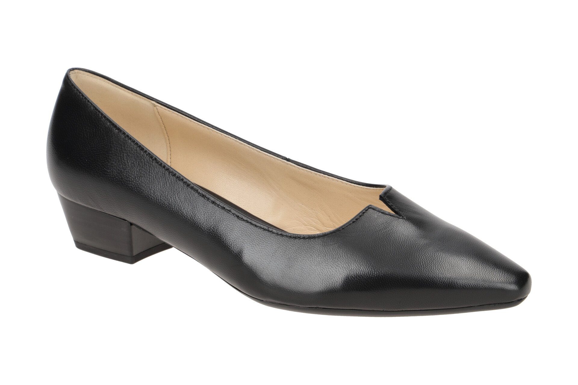 05.130.37 Pumps