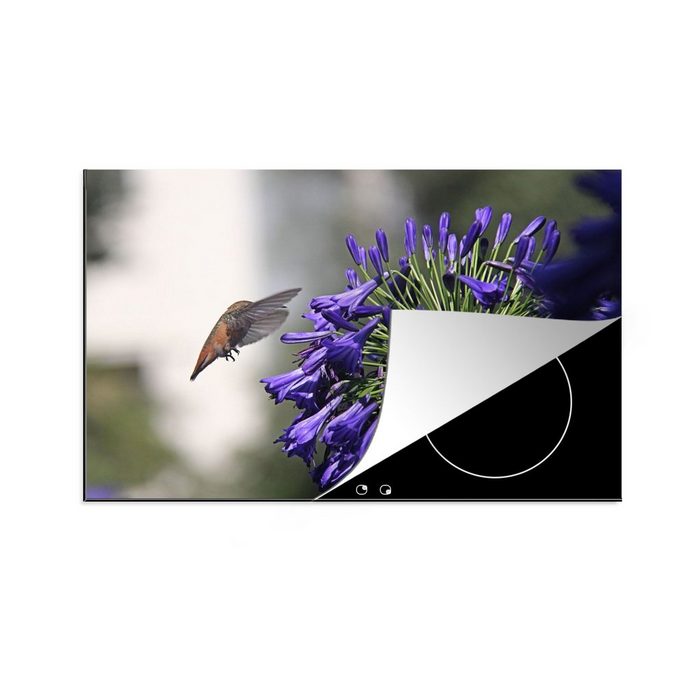 MuchoWow Herdblende-/Abdeckplatte Rosa Kolibri bei blauem Agapanthus Vinyl (1 tlg) induktionskochfeld Schutz für die küche Ceranfeldabdeckung