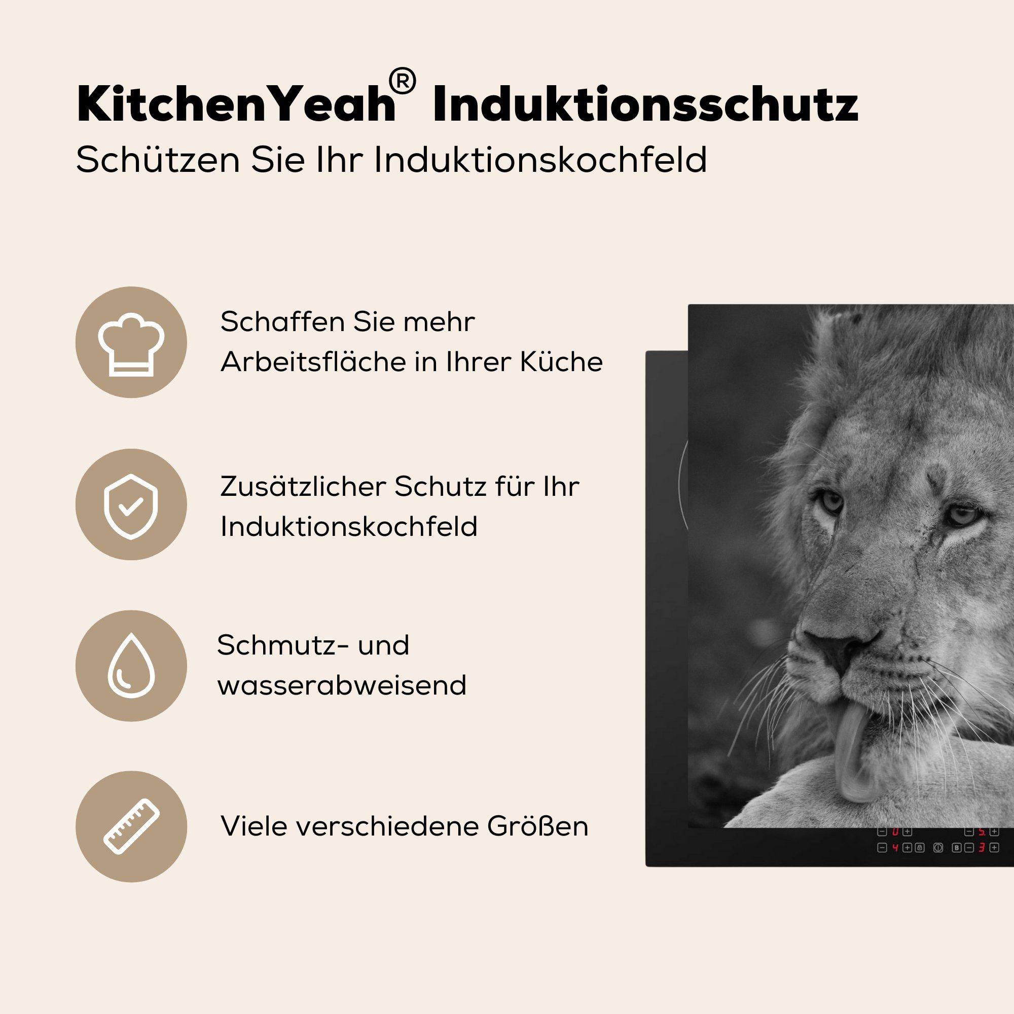 Wild - küche Herdblende-/Abdeckplatte (1 tlg), für - 78x78 Arbeitsplatte Löwe Vinyl, Ceranfeldabdeckung, Schwarz, MuchoWow cm,