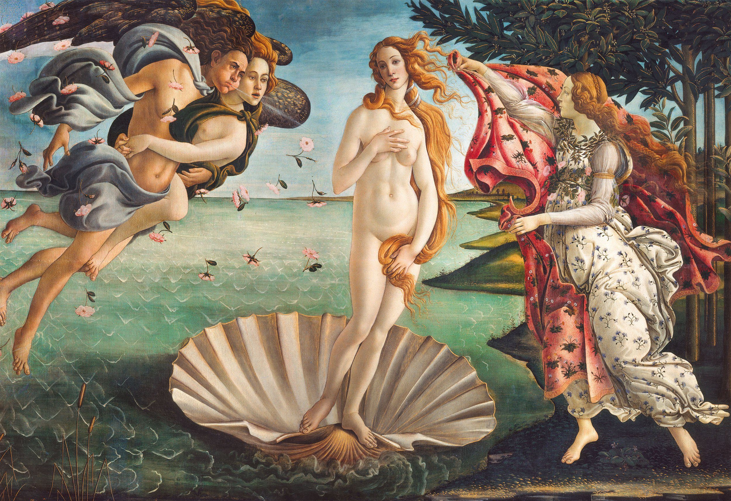 Clementoni® Puzzle Museum - - Venus, Puzzleteile, schützt in der - Collection, Geburt FSC® Wald weltweit 2000 Die Made Botticelli Europe