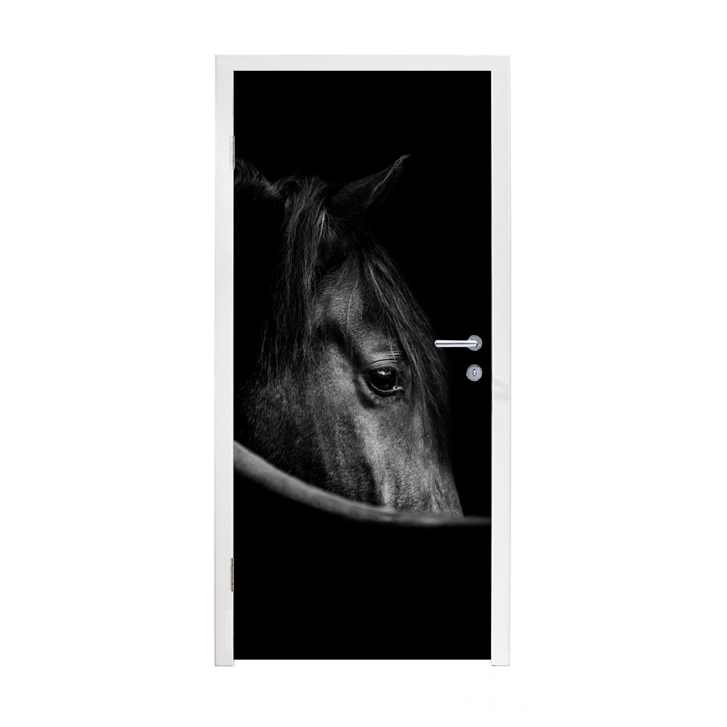 MuchoWow Türtapete Pferde - Porträt - Schwarz - Tiere, Matt, bedruckt, (1 St), Fototapete für Tür, Türaufkleber, 75x205 cm