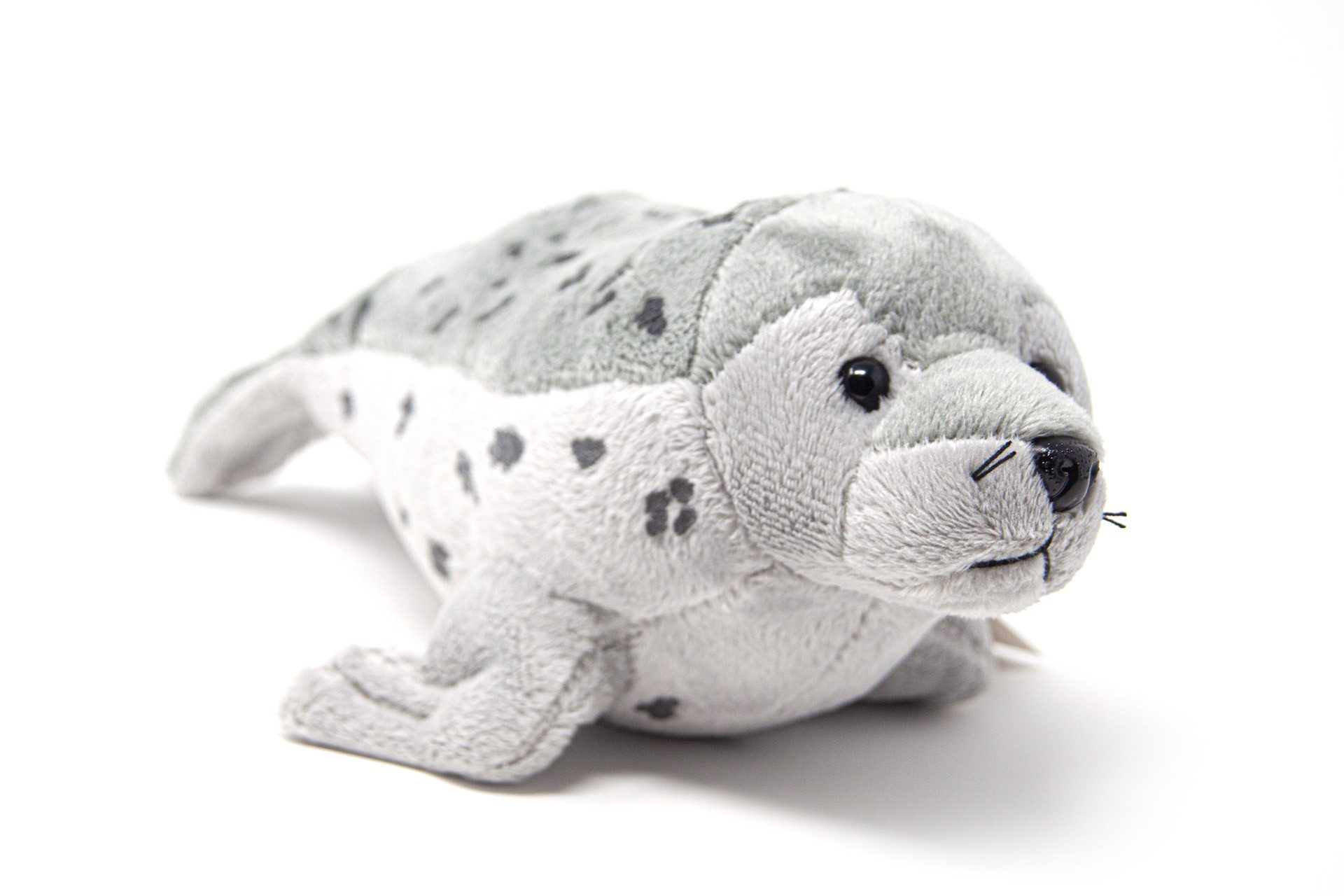 Cornelißen Kuscheltier Cornelissen - Kuscheltier - Seehund - 25 cm