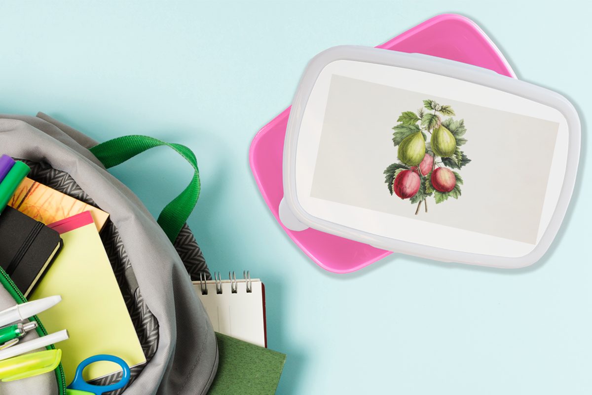 Brotbox Gesund, rosa Mädchen, MuchoWow für Lunchbox Kunststoff Kinder, Brotdose Snackbox, - - Feigen Lebensmittel Kunststoff, (2-tlg), Erwachsene,