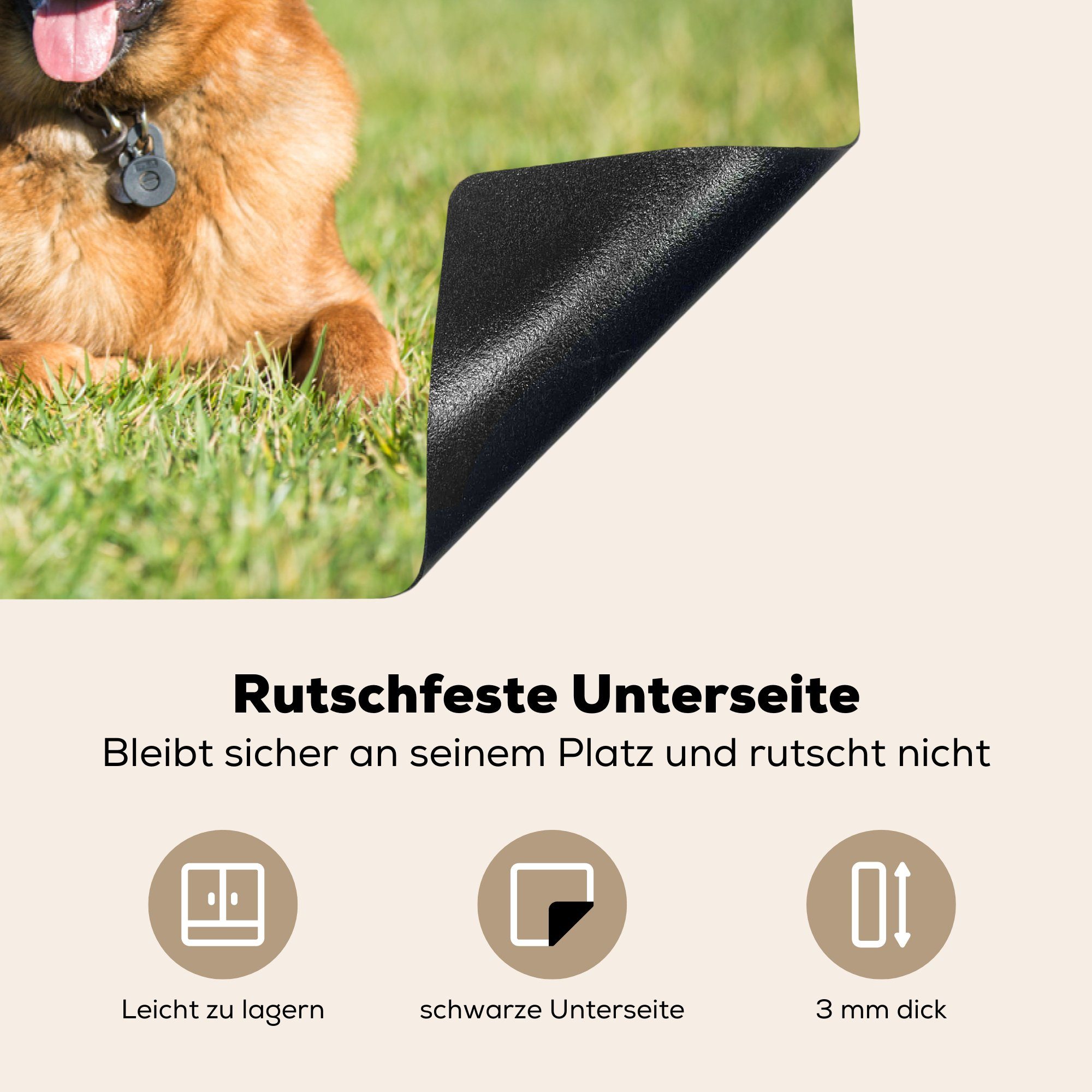 MuchoWow Herdblende-/Abdeckplatte Deutscher cm, liegend, tlg), küche, für Induktionskochfeld (1 Schutz Vinyl, im 81x52 Schäferhund die Ceranfeldabdeckung Gras