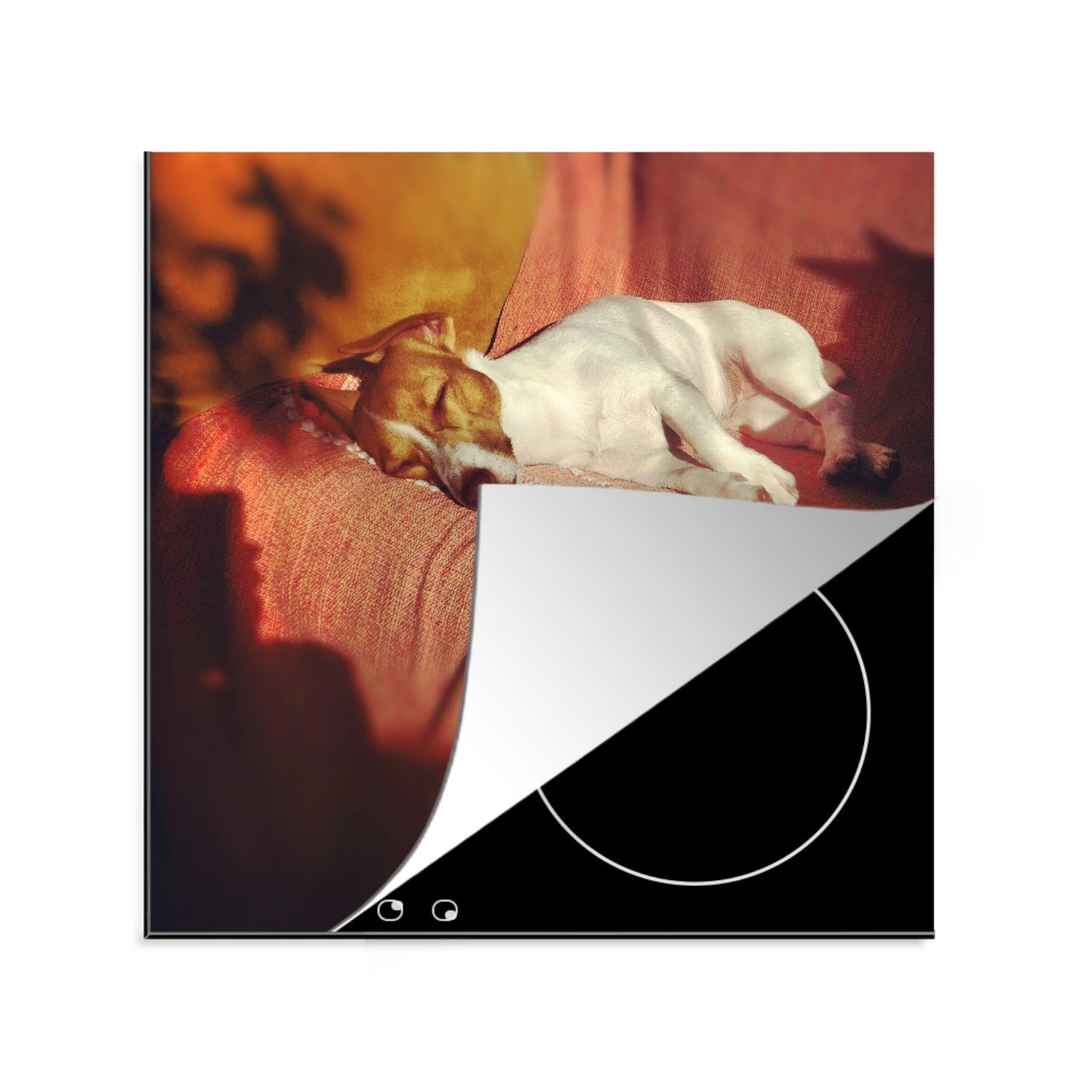 MuchoWow Herdblende-/Abdeckplatte Jack-Russel-Hund, der sich amüsiert, Vinyl, (1 tlg), 78x78 cm, Ceranfeldabdeckung, Arbeitsplatte für küche