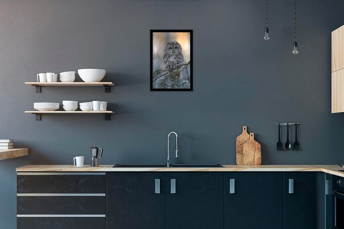 Poster Nahaufnahme eines Waldkauzes auf einem verschneiten Ast