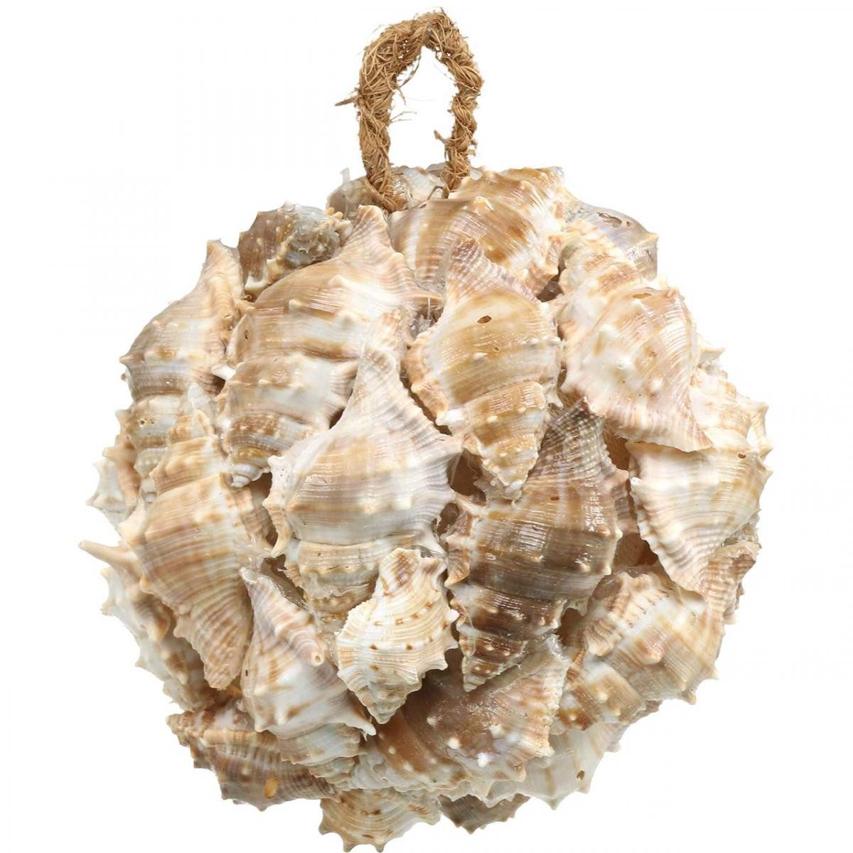 Viana Bastelnaturmaterial Deko Kugel Muscheln Schnecken günstig online kaufen