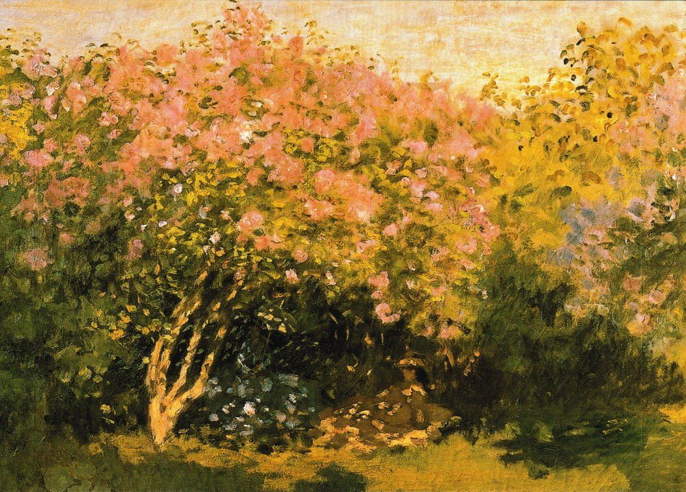 Monet der "Flieder Sonne" Claude Kunstkarte in Postkarte