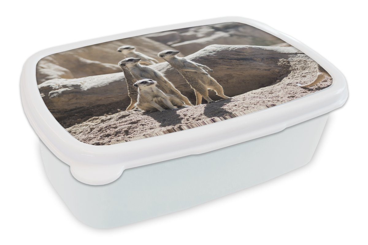 MuchoWow Lunchbox Familie - Erdmännchen - Tiere, Kunststoff, (2-tlg), Brotbox für Kinder und Erwachsene, Brotdose, für Jungs und Mädchen weiß