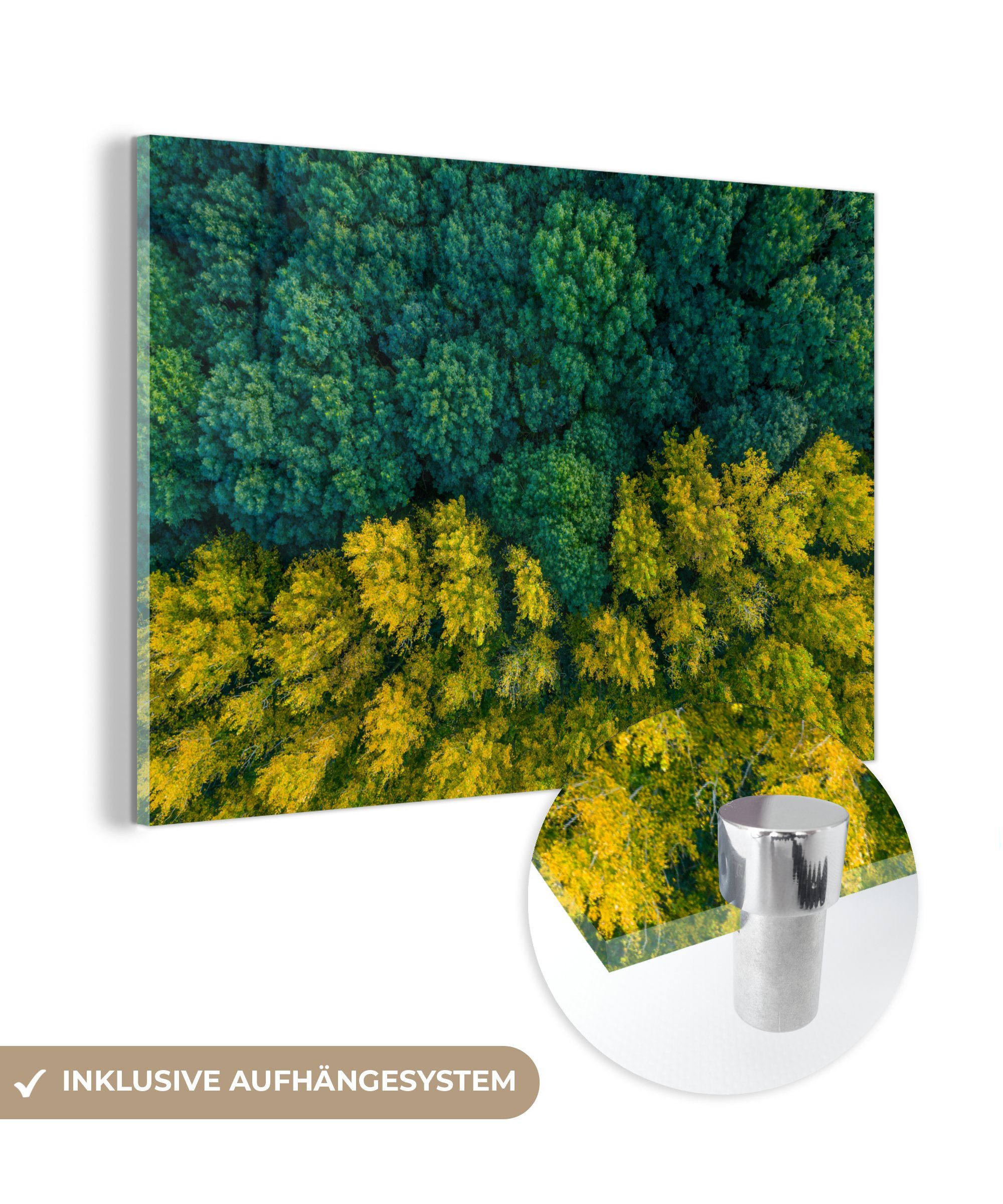 Gelb Schlafzimmer MuchoWow Bäume (1 Grün, St), - Acrylglasbild - - Wohnzimmer Wald Acrylglasbilder &
