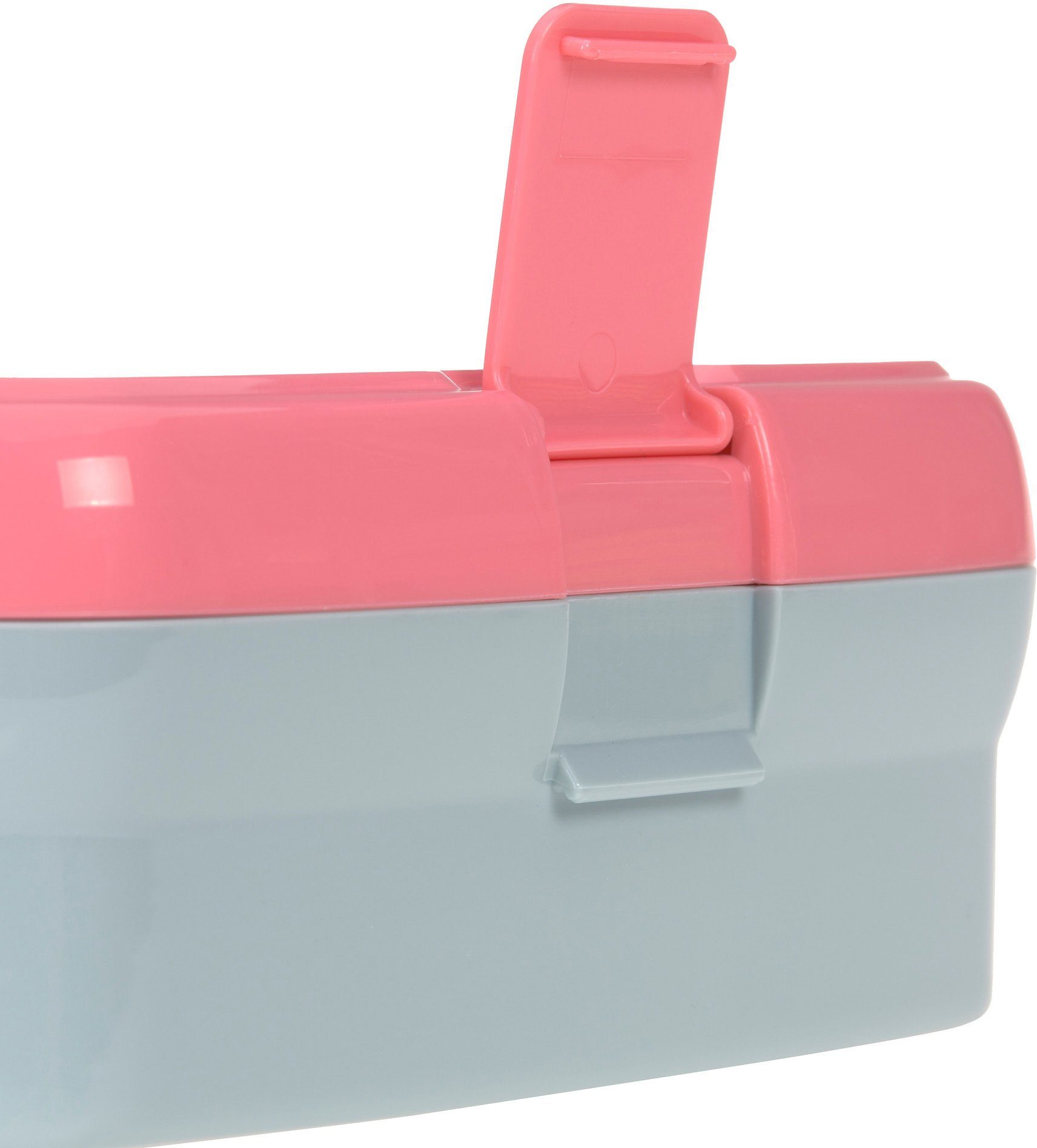 LÄSSIG Lunchbox About Friends, Dino rose, Polyprophylen (PP), Tritan, (Set, 2-tlg), mit Trinkflasche