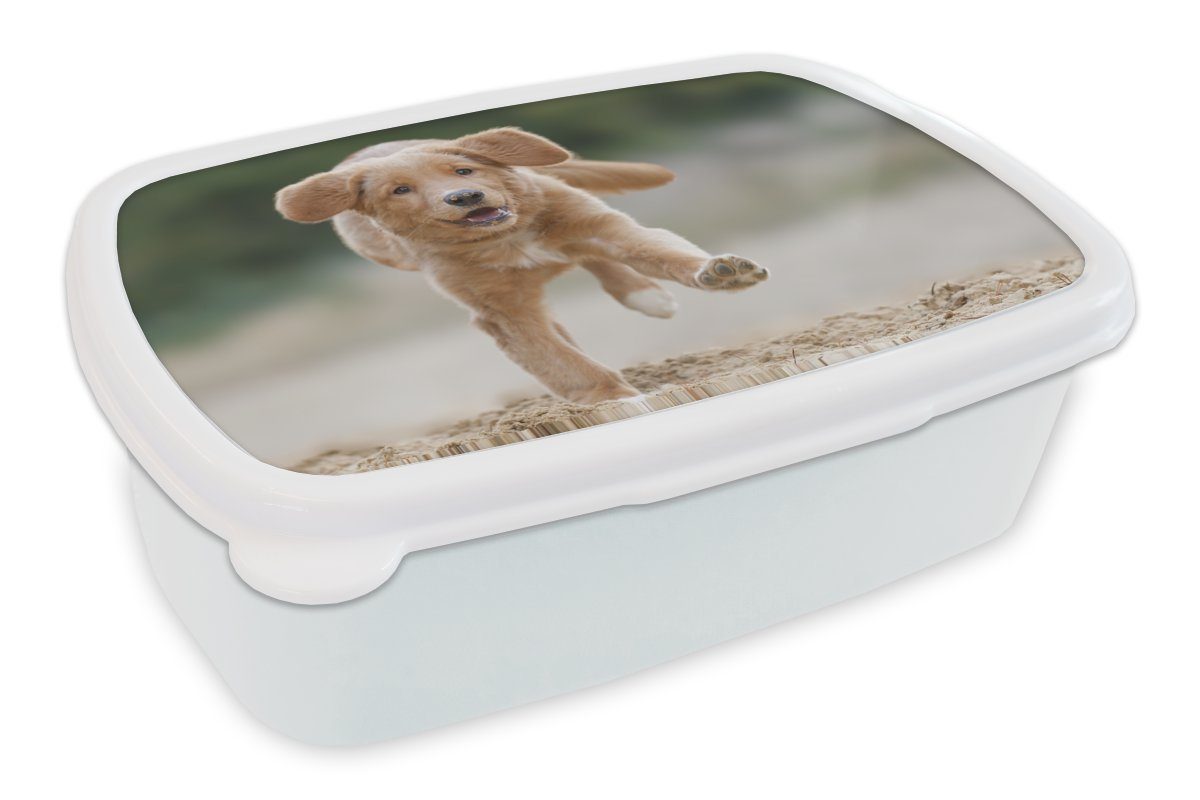 MuchoWow Lunchbox Ein Golden Retriever Welpe, Kunststoff, (2-tlg), Brotbox für Kinder und Erwachsene, Brotdose, für Jungs und Mädchen weiß