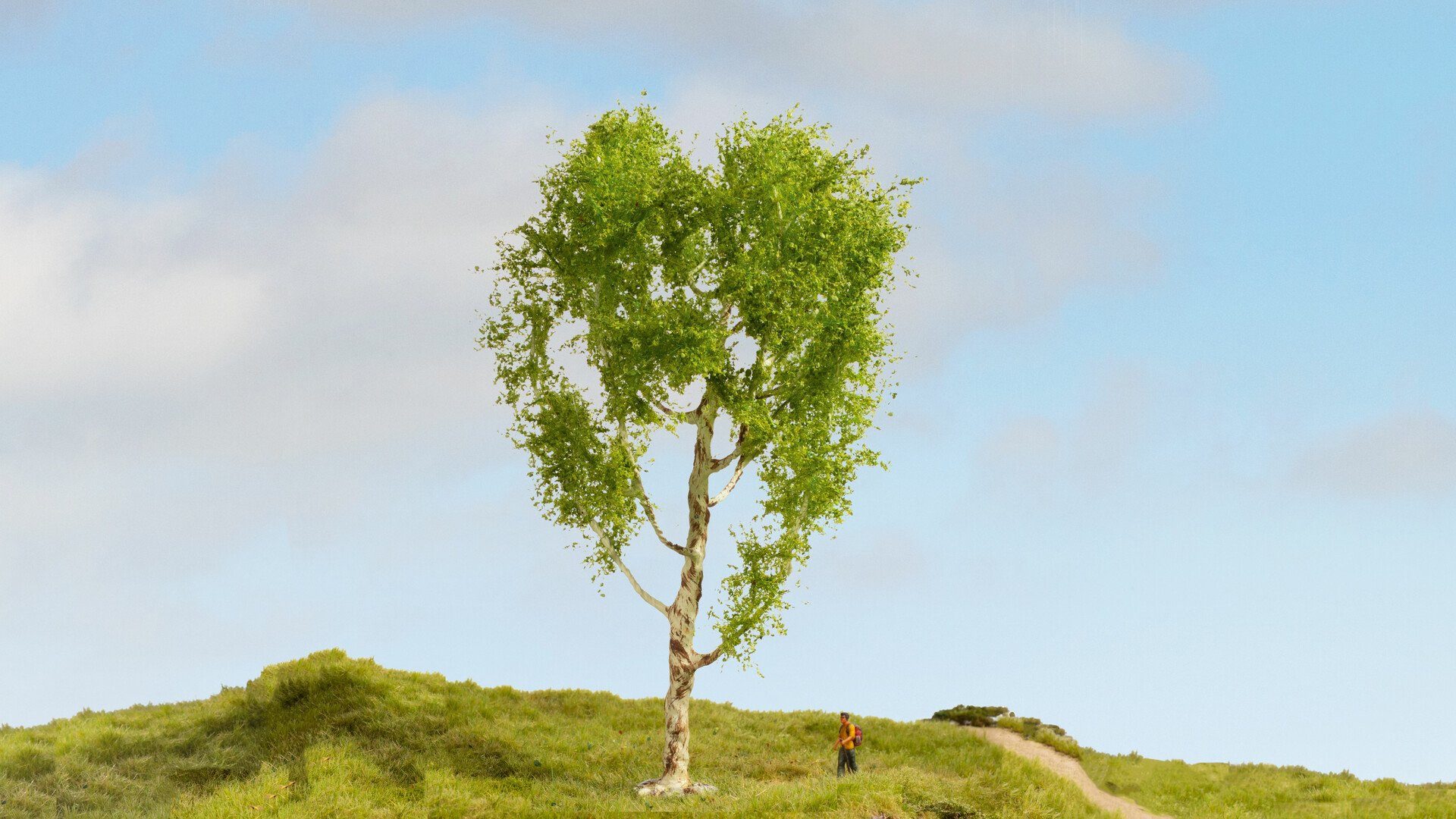 Dekobaum NOCH® Modellbaum Moorbirke, detailreicher Baum, 21