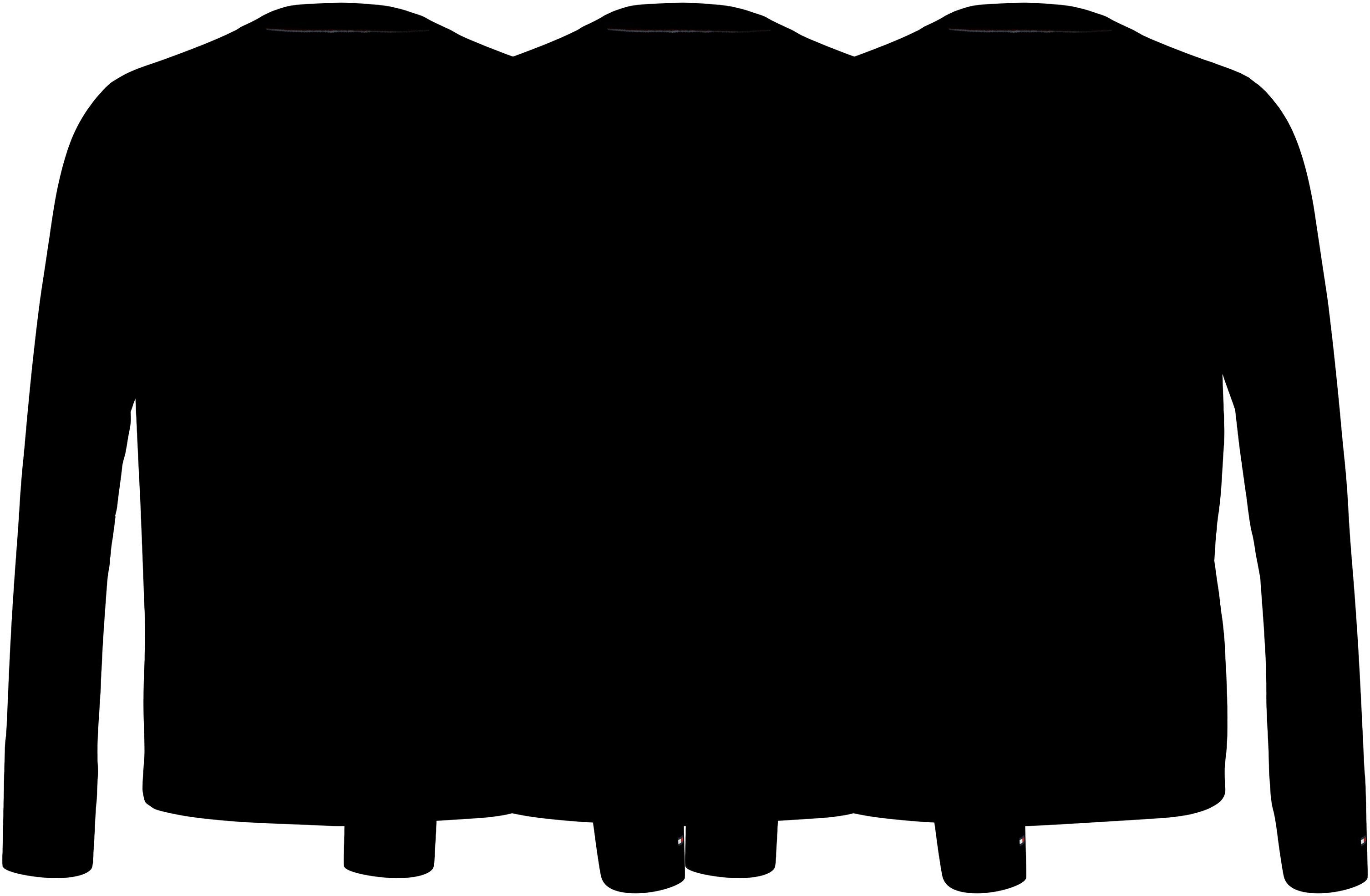 Tommy Hilfiger Tee Black Underwear (Packung, T-Shirt Markenlabel LS 3er-Pack) 3P Black/ mit Black
