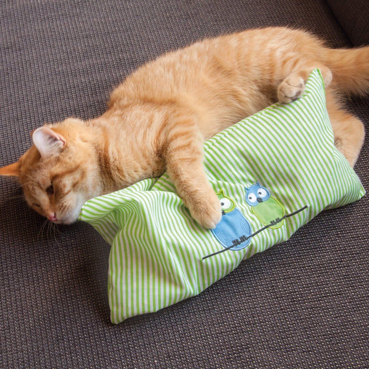 Aumüller Raschelkissen Katzenspielkissen mit Katzenminzefüllung, Leander günstig online kaufen