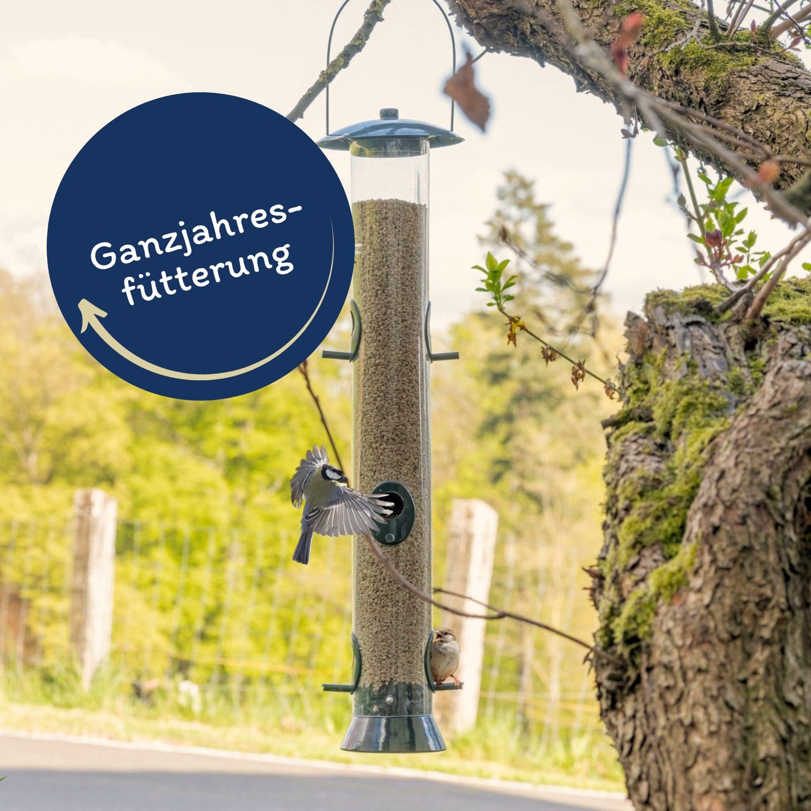 Lyra Pet 10 kg Lyra Pet® Sonnenblumenkerne geschält BRUCH, für: Wildvogel