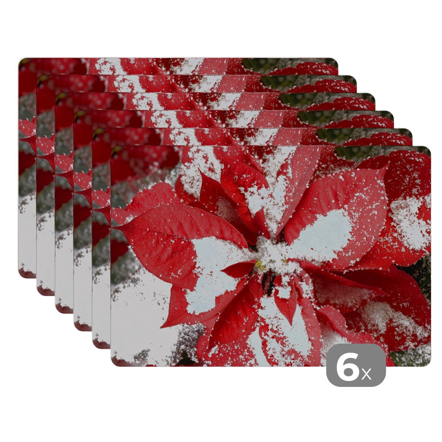 Platzset Christrose - Weihnachtsblume