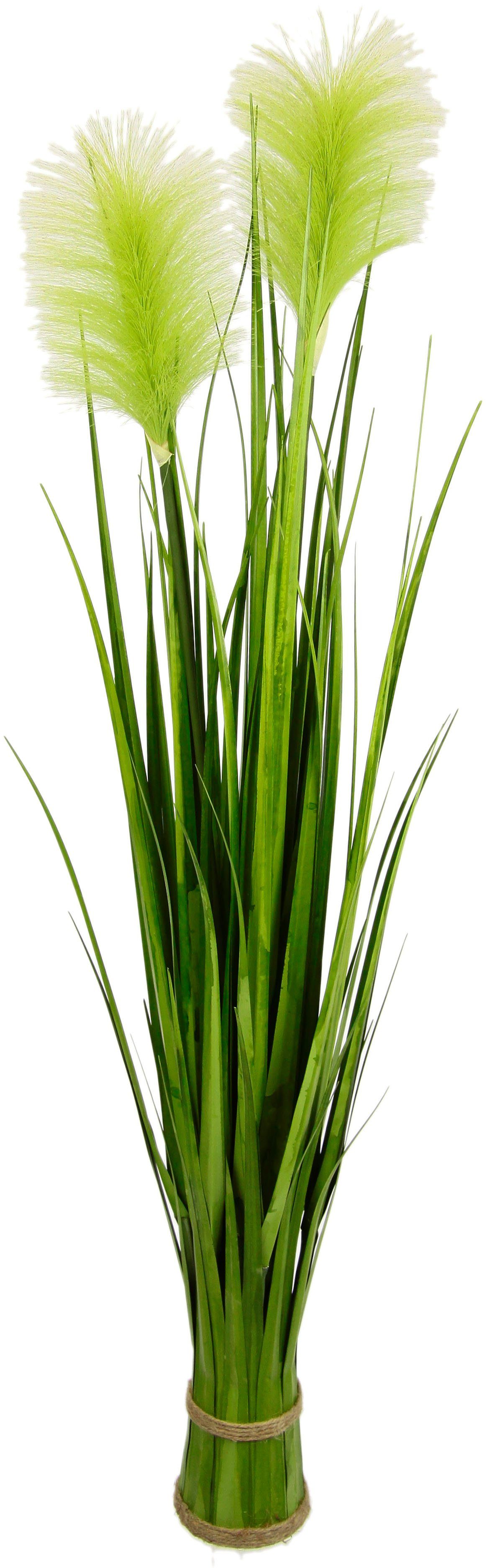 Kunstpflanze »Stretton« Pampasgras, Home affaire, Höhe 87 cm, Gras-Otto