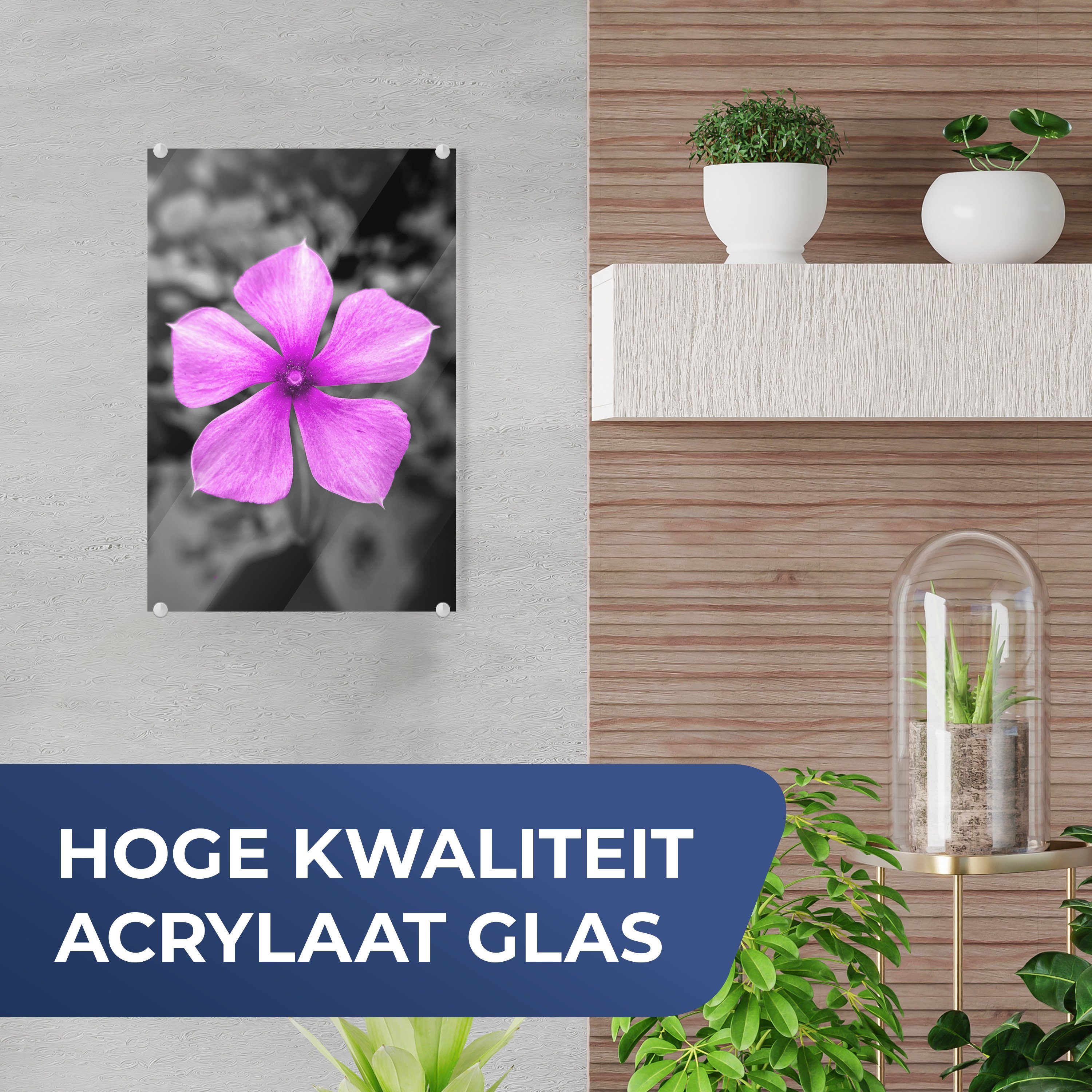 (1 - Weiß - Blumen - Foto Acrylglasbild Glas auf Glas Bilder Glasbilder auf Lila, - Wandbild Schwarz MuchoWow St), Wanddekoration - -
