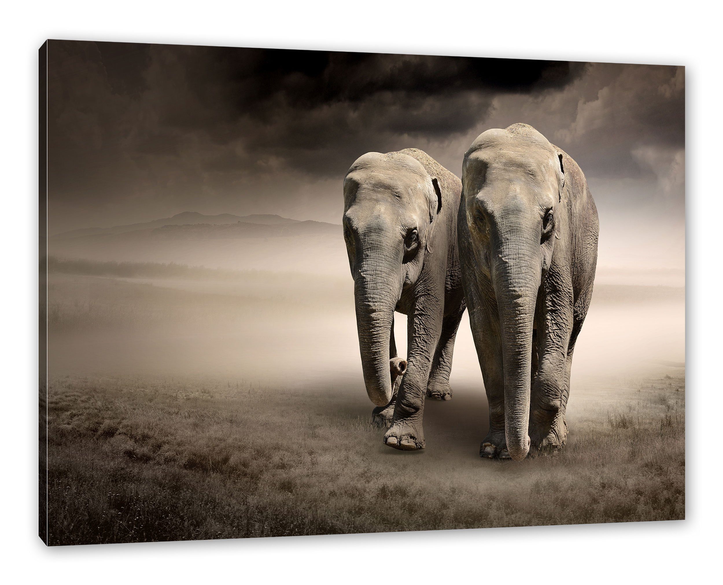 Pixxprint Leinwandbild Zwei Elefanten in Steppe, Zwei Elefanten in Steppe (1 St), Leinwandbild fertig bespannt, inkl. Zackenaufhänger | Leinwandbilder