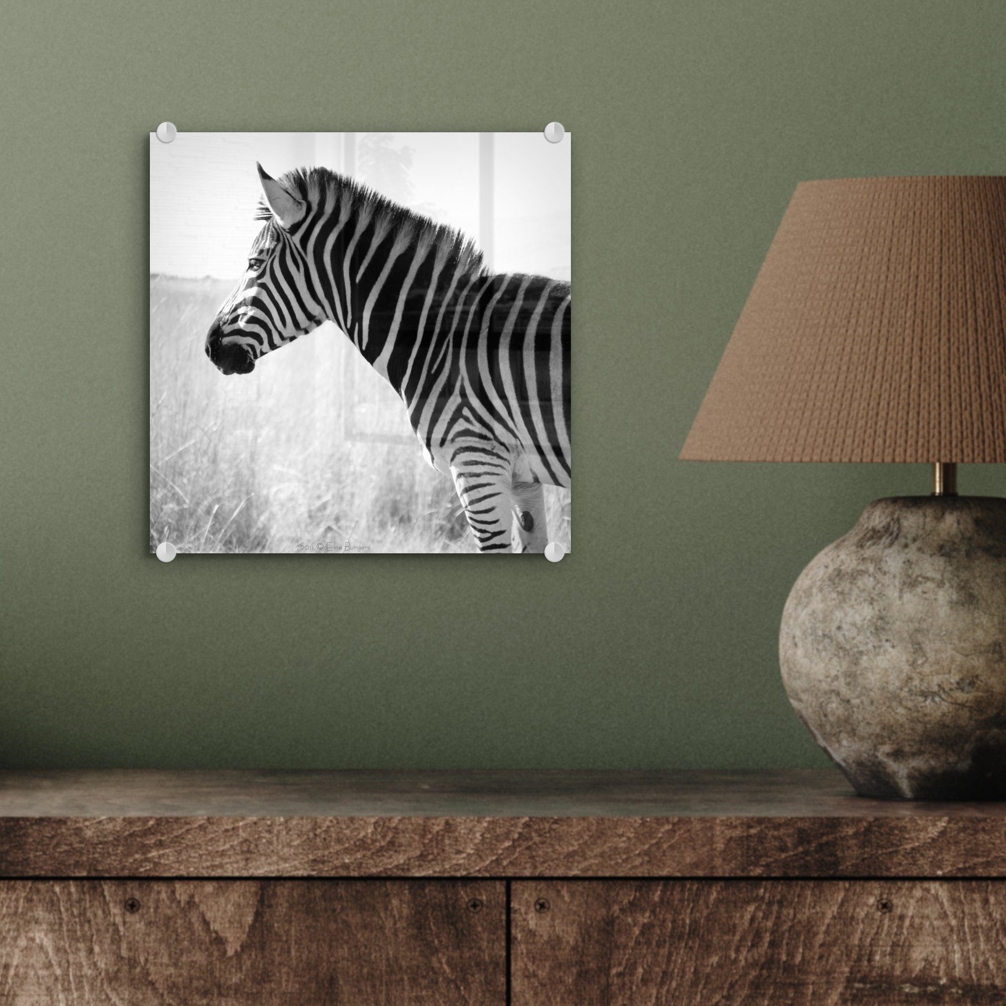 - MuchoWow - Zebra im Glas Wandbild hohen Wanddekoration - Bilder Glasbilder St), Gras, (1 Foto Acrylglasbild auf auf Glas