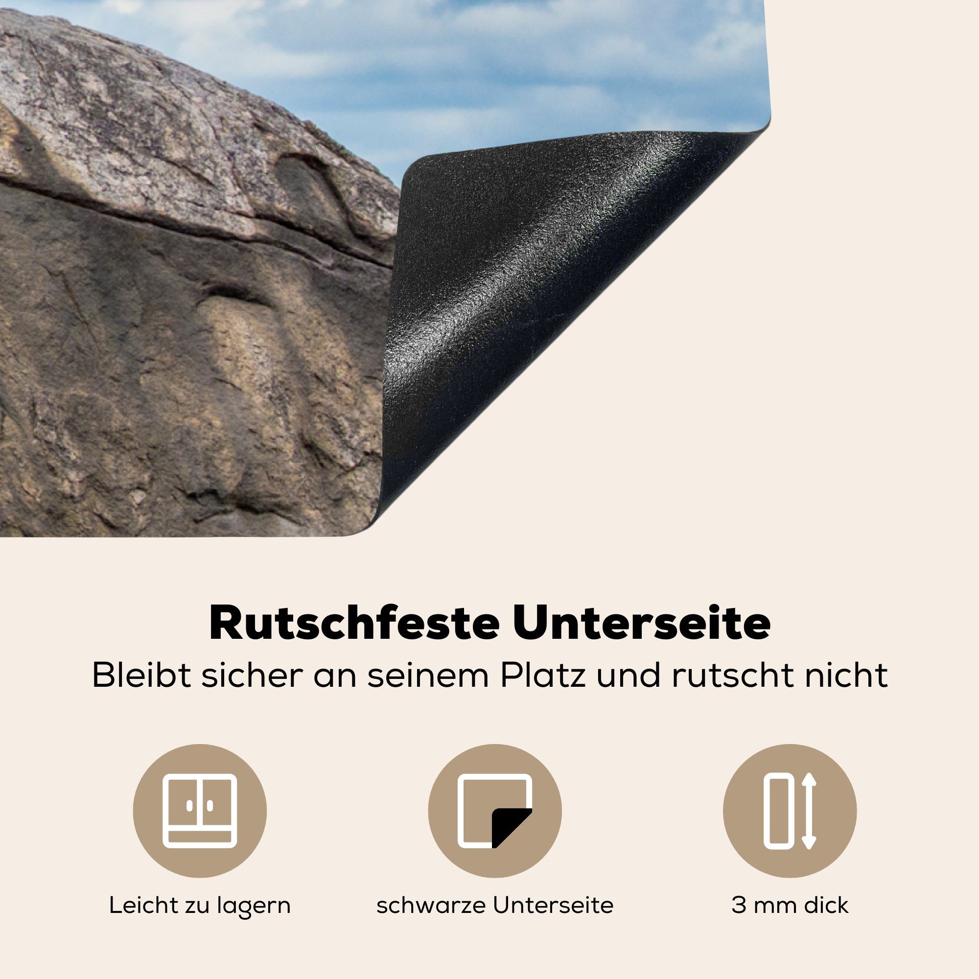 - 78x78 küche cm, Ceranfeldabdeckung, Vinyl, für Fels, (1 - Arbeitsplatte Herdblende-/Abdeckplatte Jagd tlg), MuchoWow Löwe