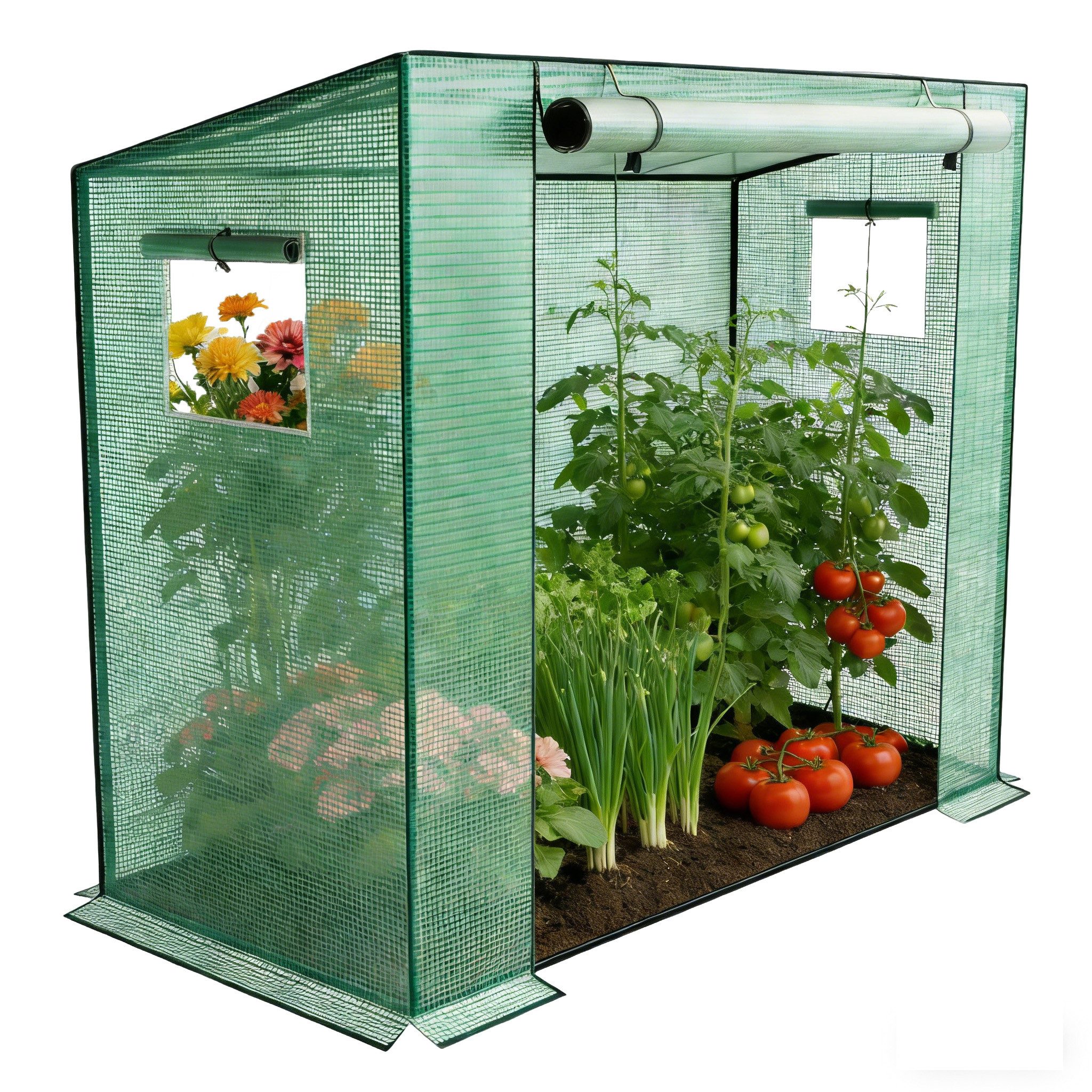 FIVMEN Gewächshaus Foliengewächshaus mit 2 Belüftungsfenster 200x80x150 cm, Tomaten Foliengewächshaus Balkon Outdoor Winterfest Tomatenhaus