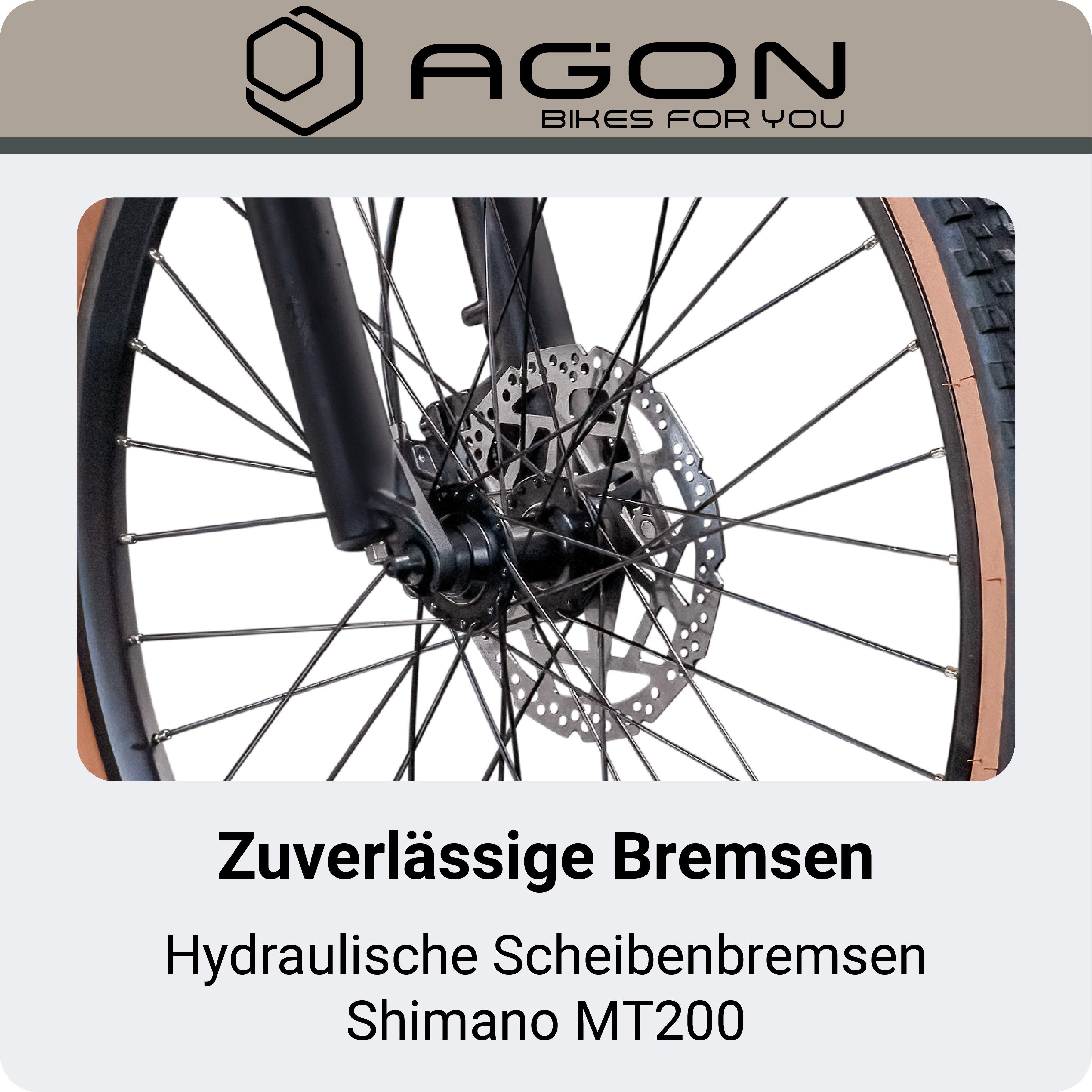 AGON E-Bike Mountainbike Alpha, 10 Gang Shimano Deore SGS T6000 Schaltwerk, Kettenschaltung, Heckmotor, 540 Wh, E Bike Mountainbike Herren oder Damen 160 - 185  – Bild 5 von 5