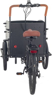 LLobe E-Bike Cargo E-Bike AITour Starter, 7 Gang Shimano, Kettenschaltung, Heckmotor, 634,2 Wh Akku, Feststellbremse