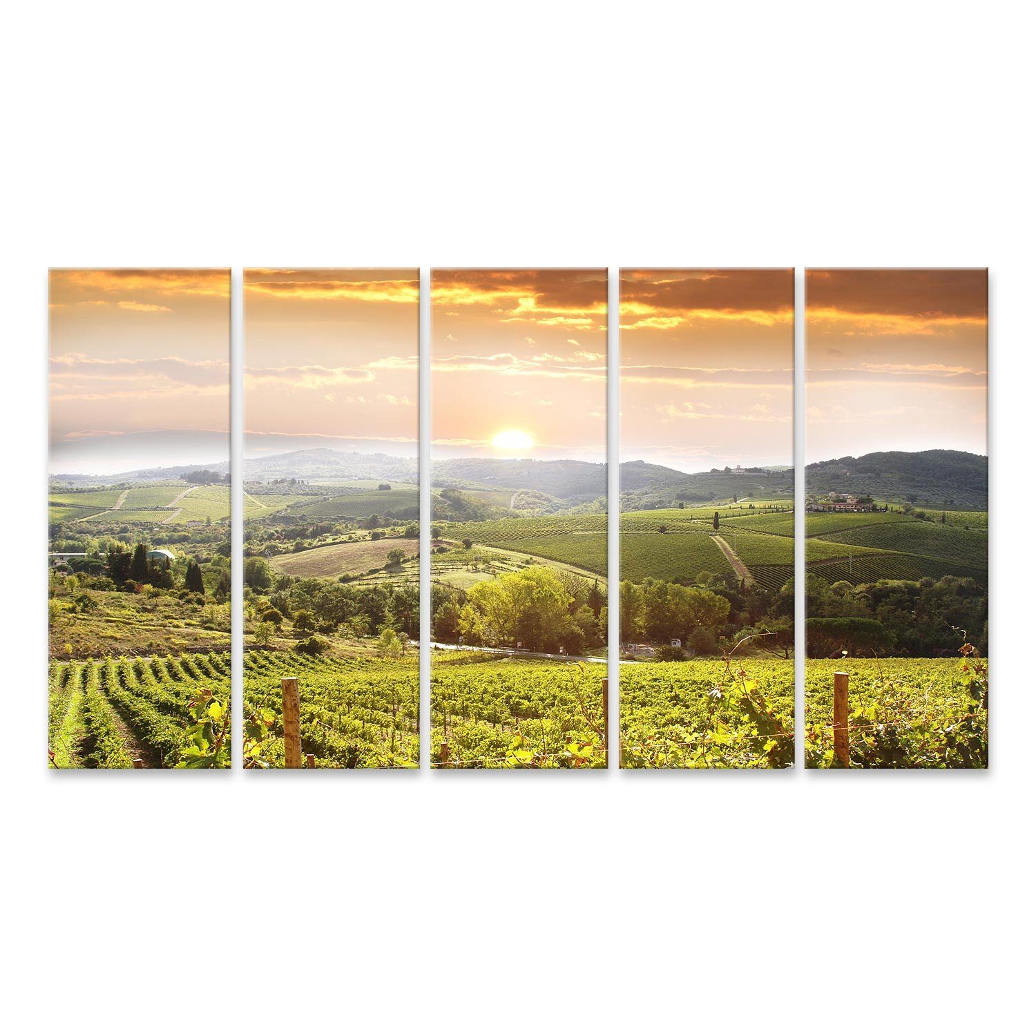 Leinwandbild Bild auf Leinwand Weinberg Chianti Toskana Wandbild Leinwandbild Wand
