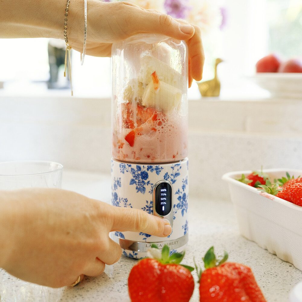 VQ Standmixer Laura Ashley Stabmixer Smoothie Maker 450ml Flasche – China Rose VQ, 100.00 W
