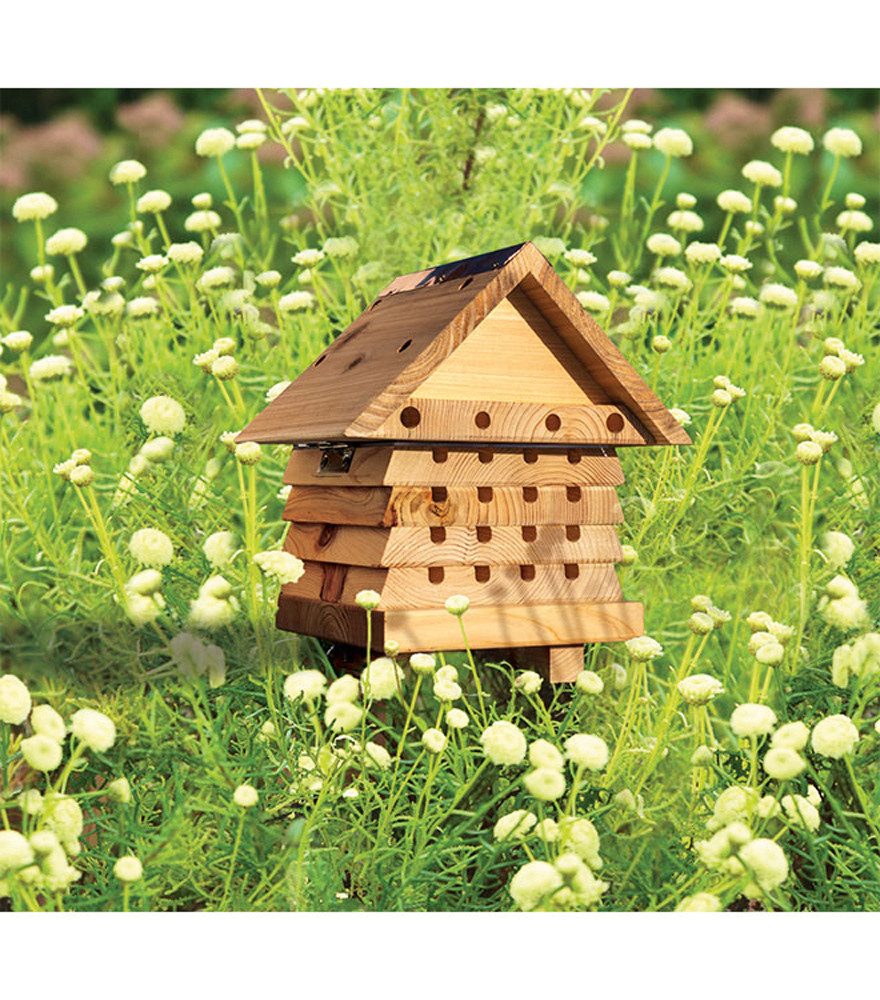 Nistkasten Wildlife World Solitärischer Bienenstock mit Plexiglas-Sichtfenster
