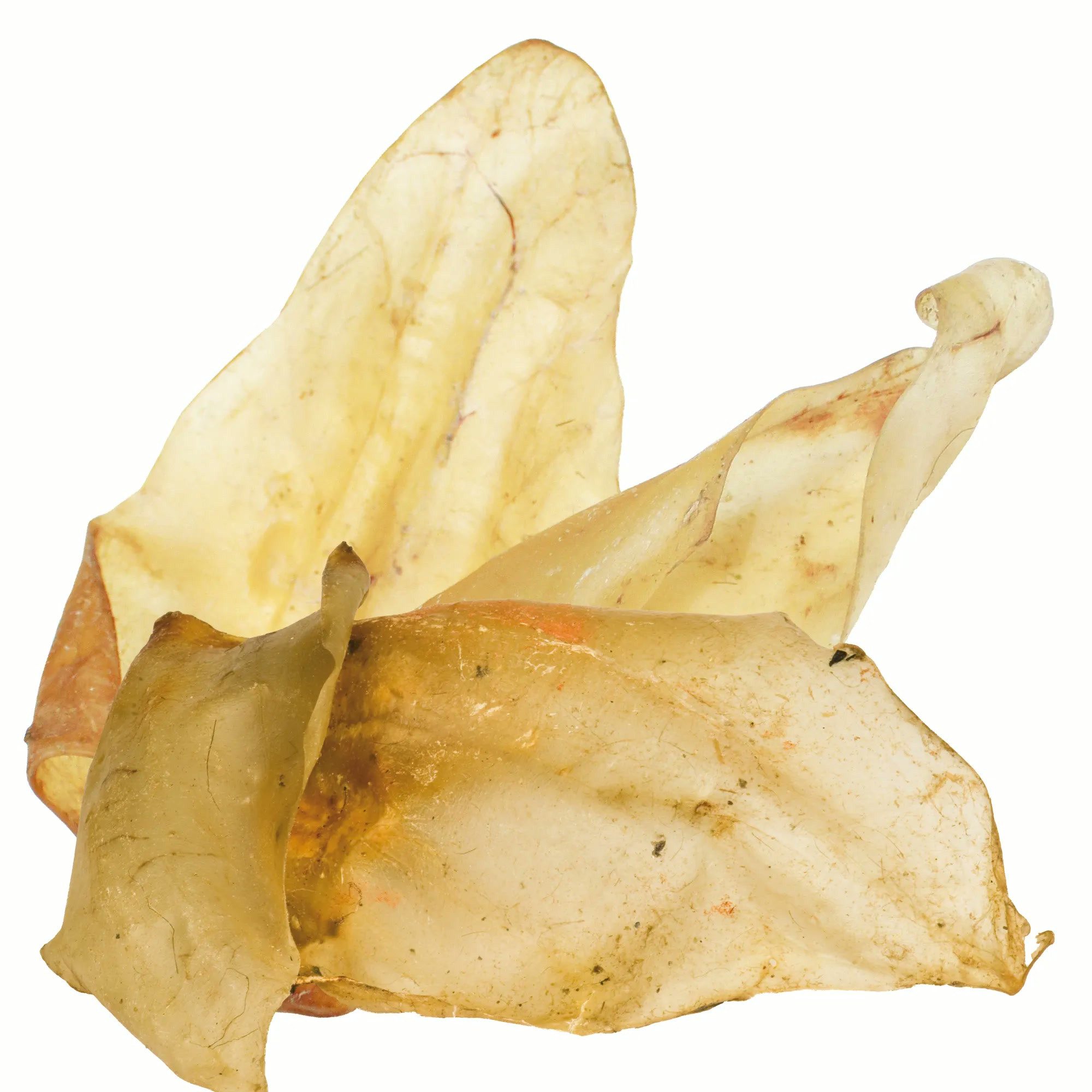 Schecker Schecker Kausnack - Rinderohren getrocknet, 1St., 100% Rinderohr (getrocknet)