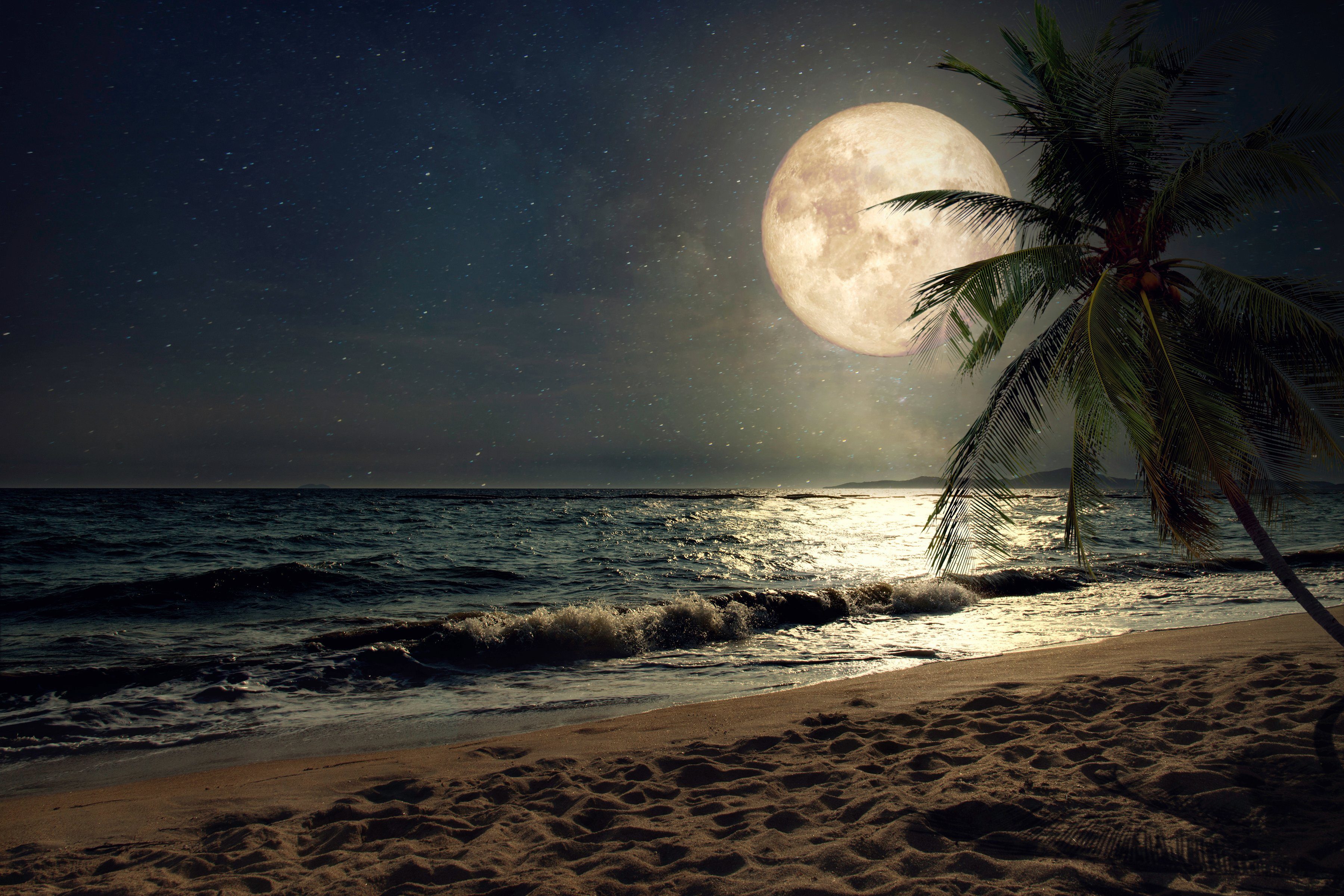 Papermoon Fototapete STRAND-NATUR PALMEN MEER DÜNEN MOND PALME LANDSCHAFT günstig online kaufen