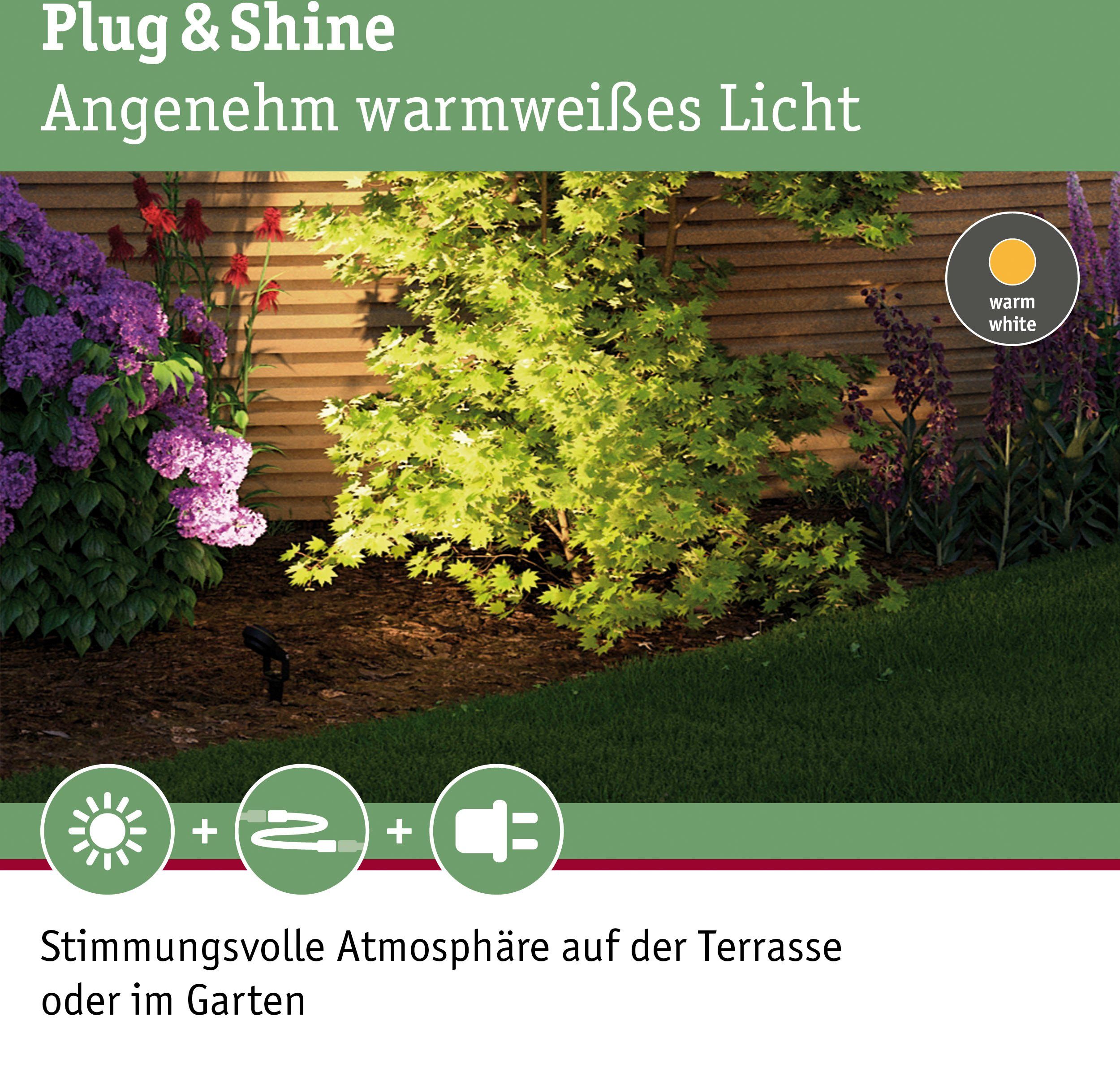 Paulmann LED Gartenstrahler Plug Shine, fest Shine, 24V Warmweiß, Plug LED integriert, 3000K & Anthrazit IP67 LED-Modul, &
