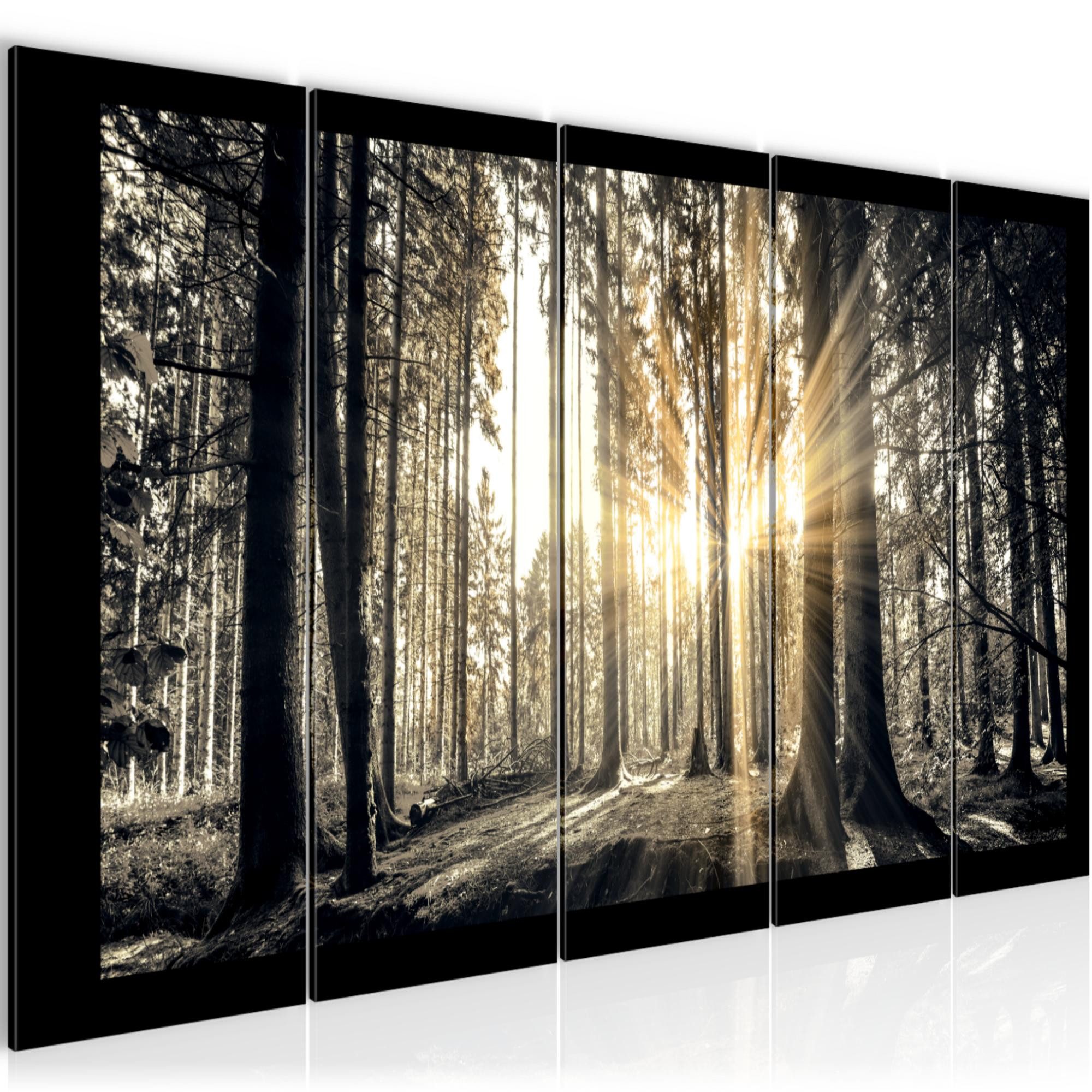 Runa Art Wandbild Bild Wald Landschaft auf Vlies Leinwand Wanddekoration 503856a, 150L x 60B cm