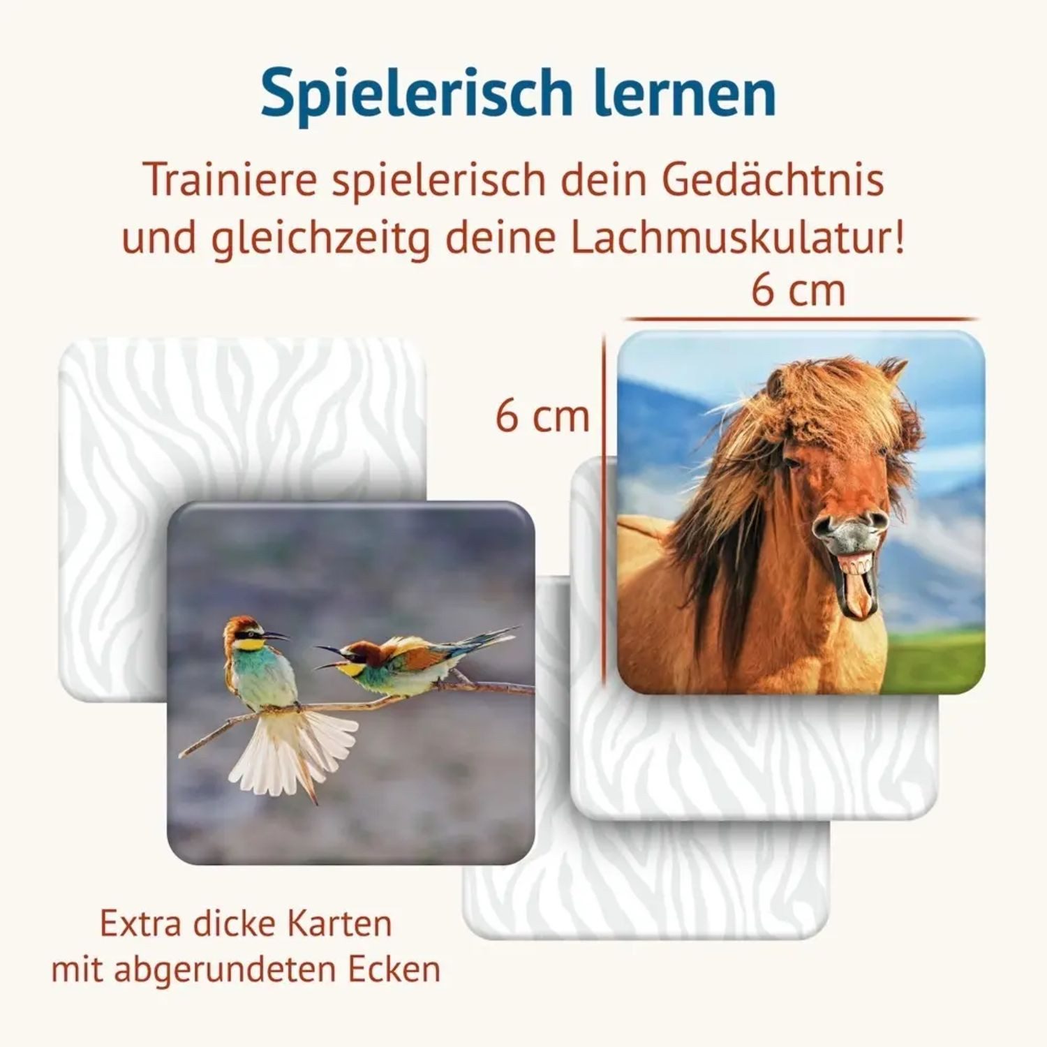 Spiel Tierisch Lustig - Memospiel