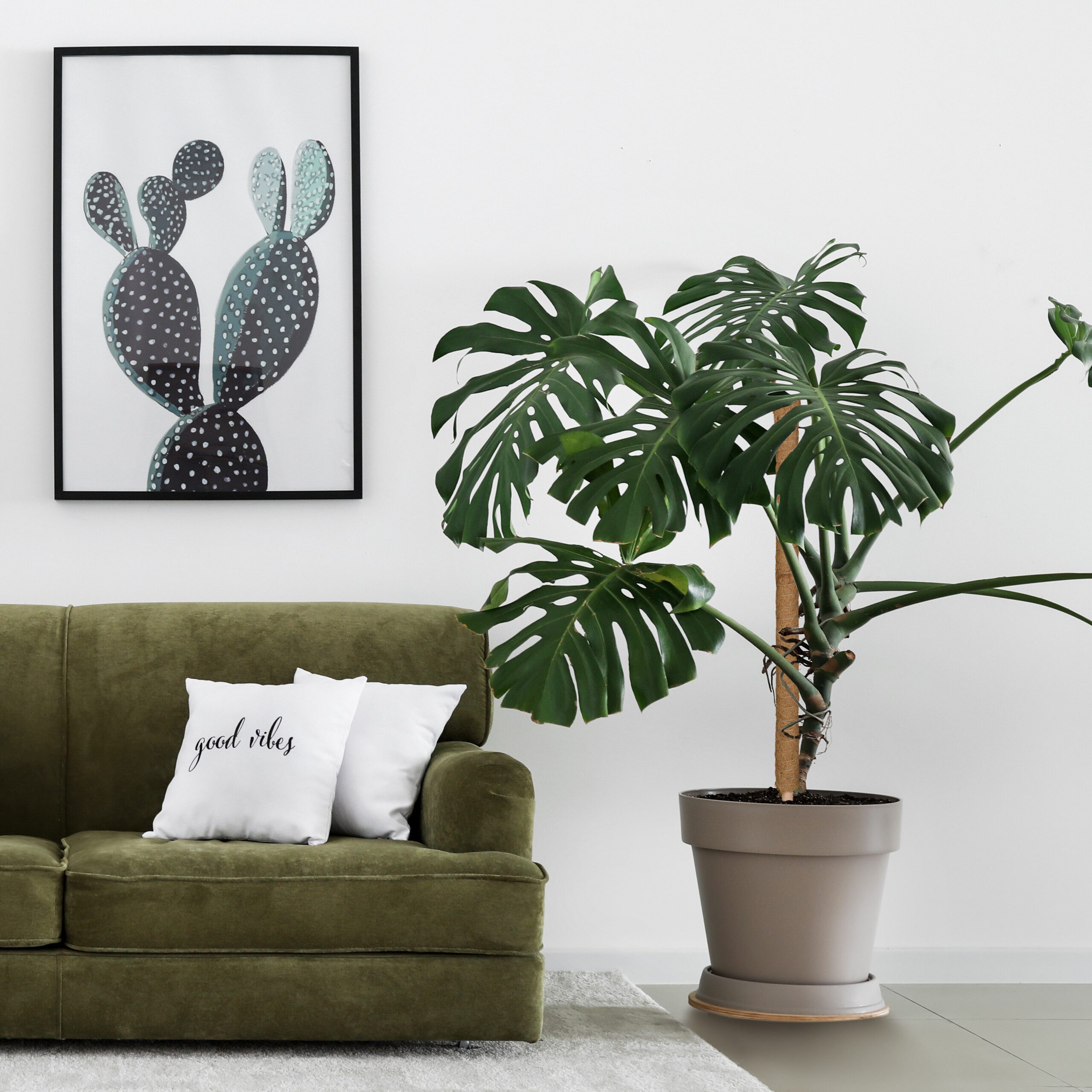 relaxdays Rankhilfe 10er Set Kokosstäbe 90 günstig online kaufen