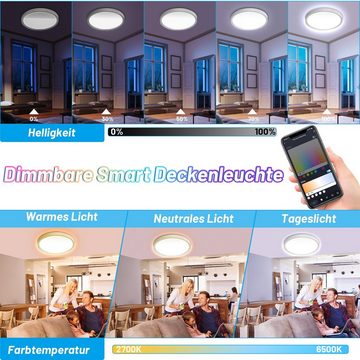 Randaco LED Deckenleuchte 24W Smart LED Deckenleuchte RGB Lampen Badezimmer dimmbar 2040LM Flach