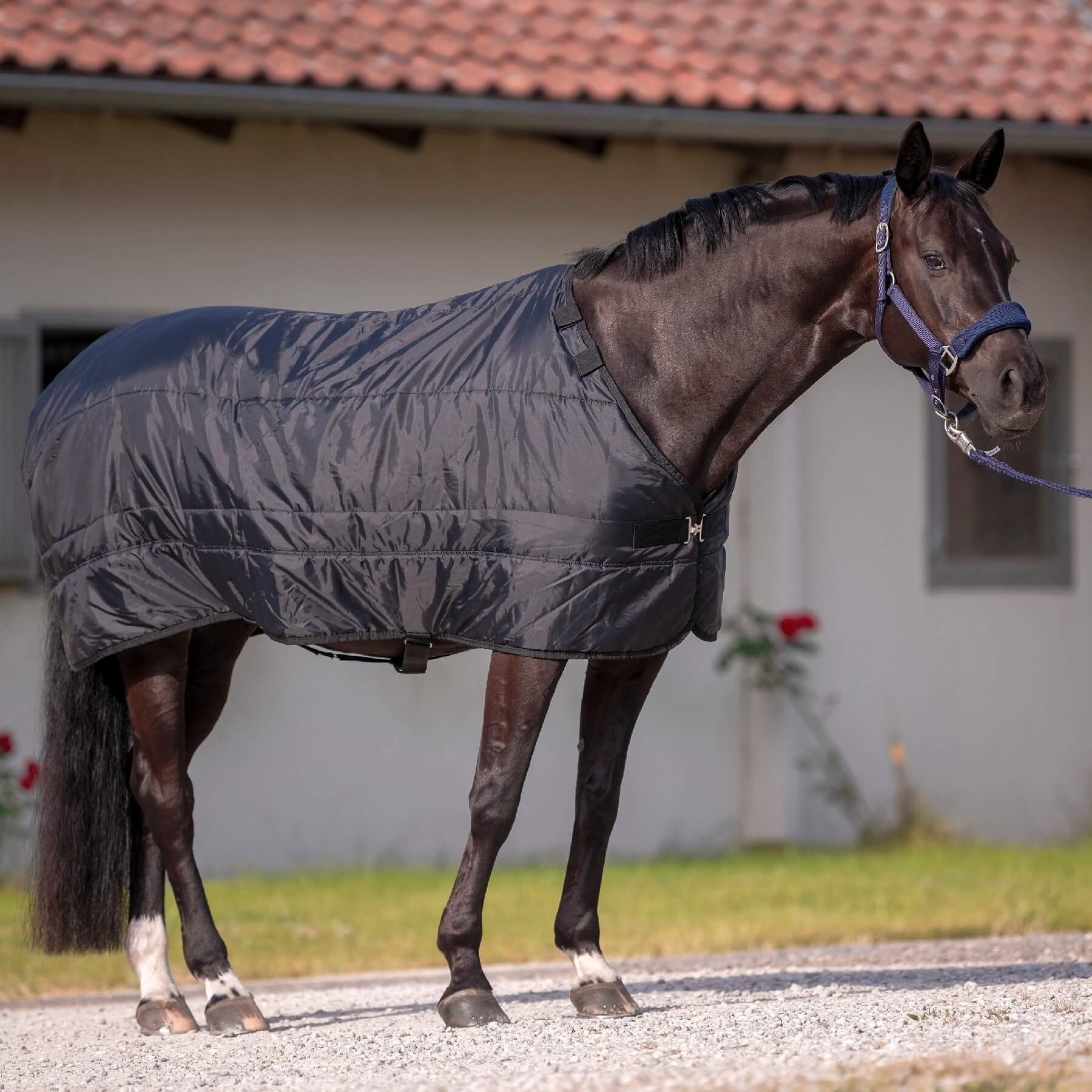 BUSSE Pferde-Unterdecke BUSSE Liner NOORVIK PRO 200, mit 200g Wärmeisolierung